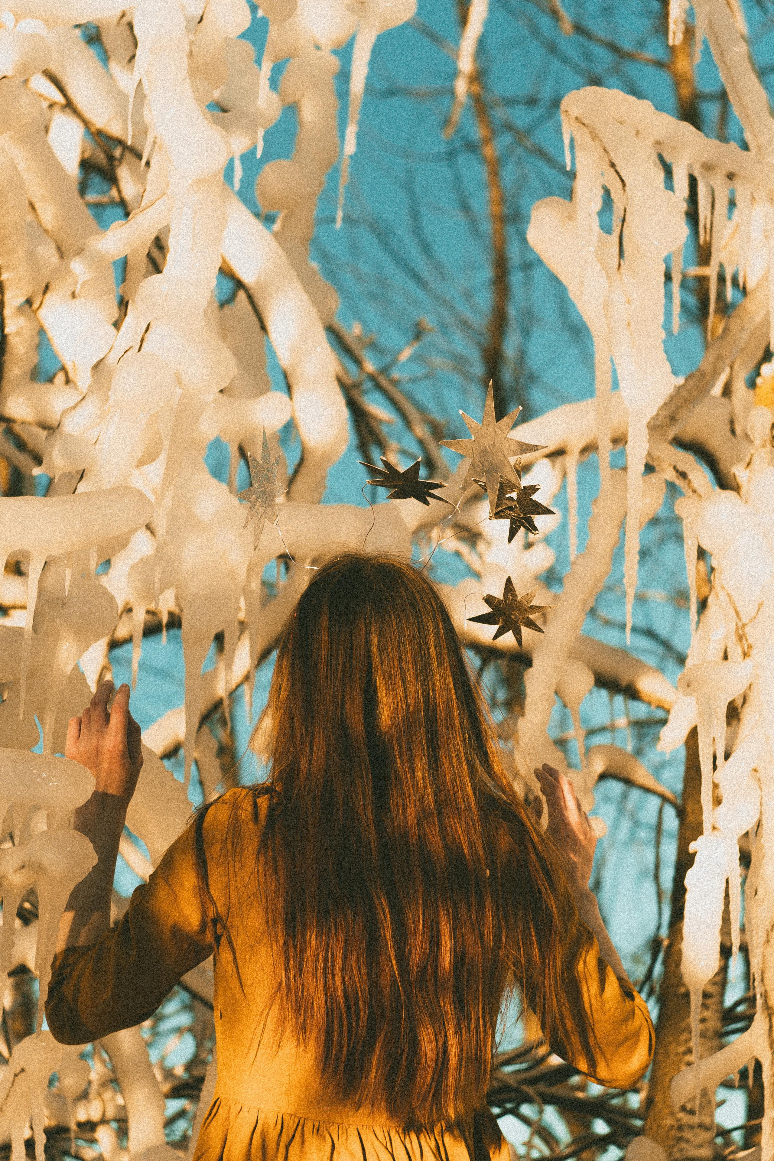 Зимнего солнца сны. Алиса Аницкая