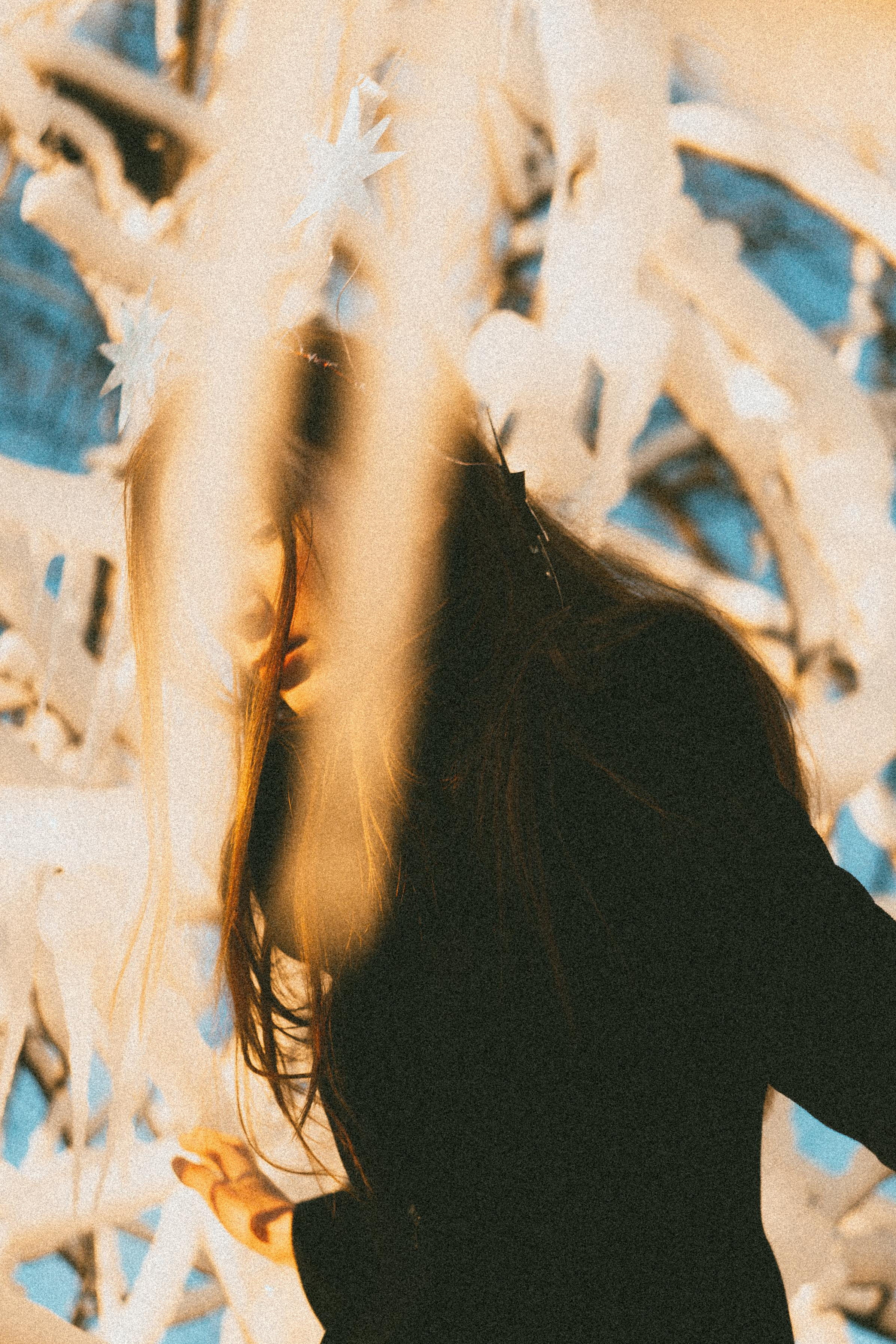 Зимнего солнца сны. Алиса Аницкая