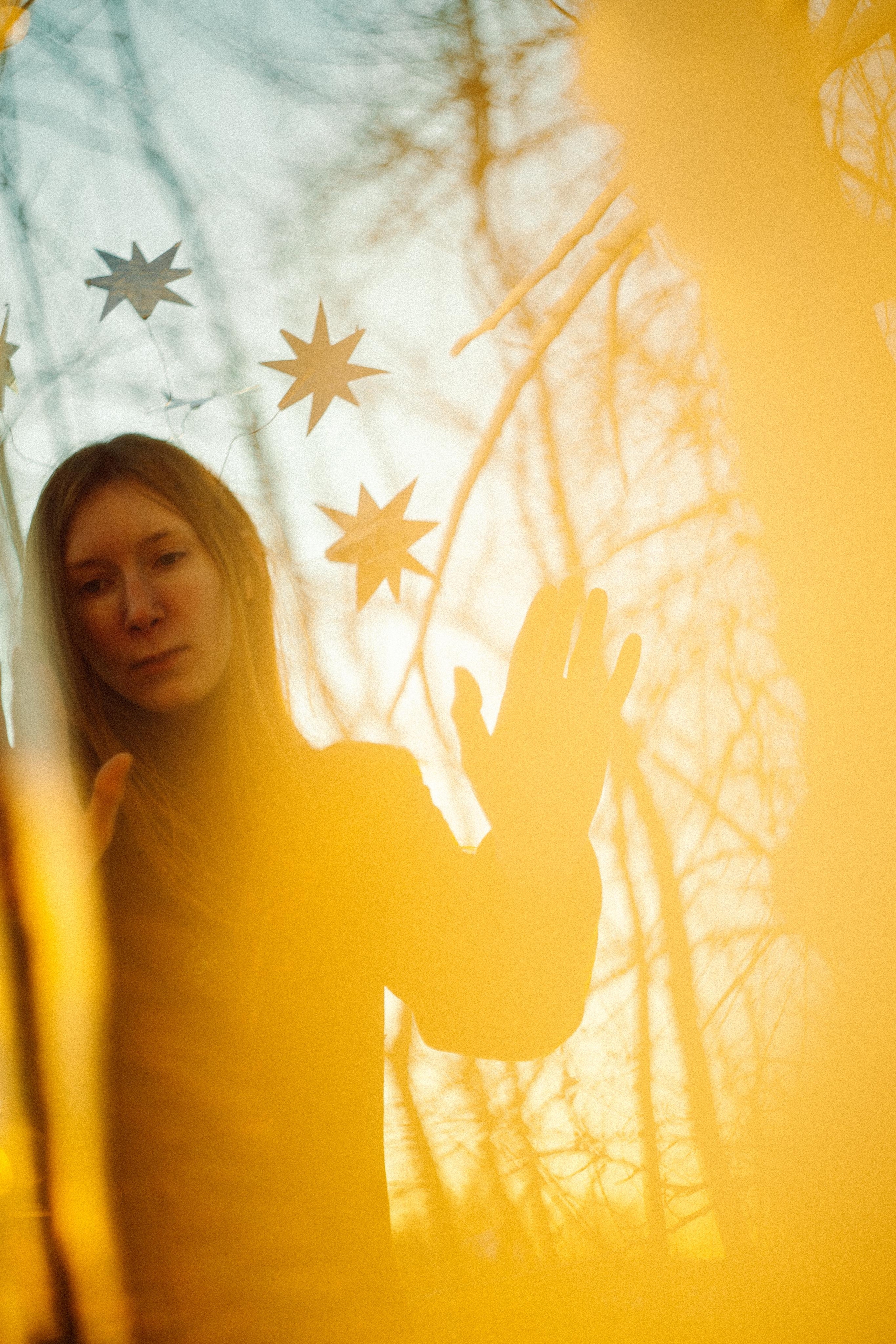 Зимнего солнца сны. Алиса Аницкая