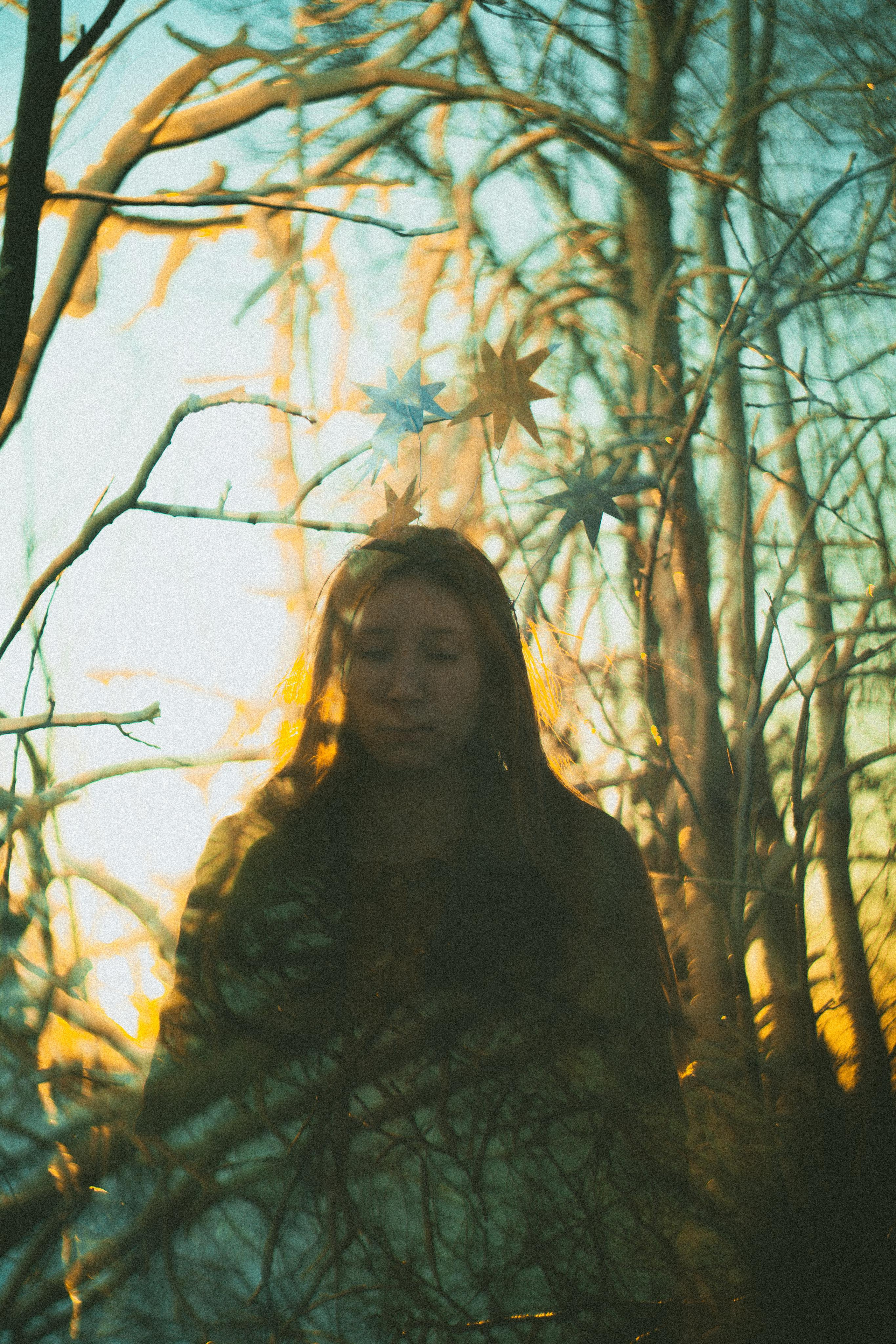 Зимнего солнца сны. Алиса Аницкая