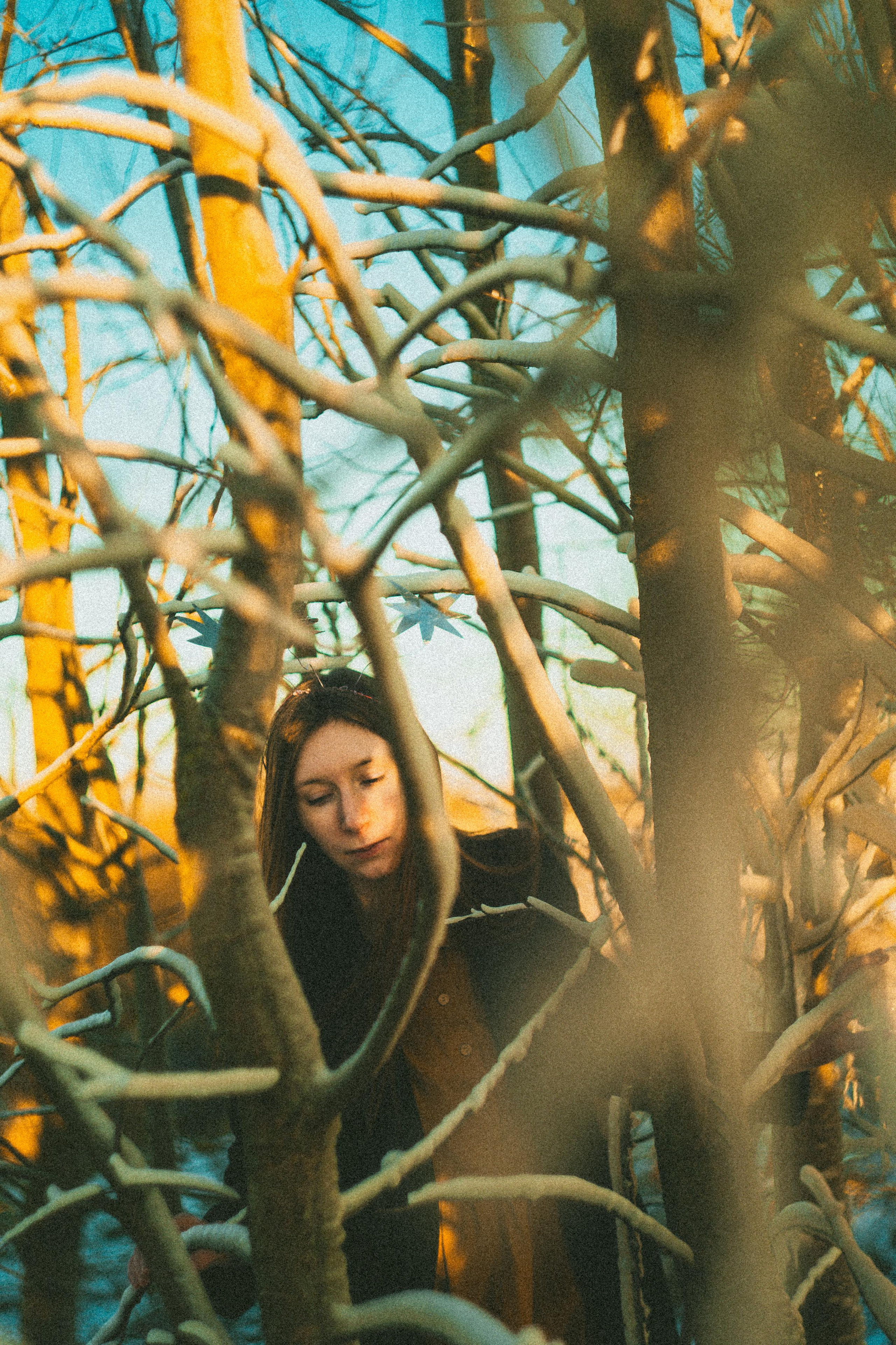 Зимнего солнца сны. Алиса Аницкая