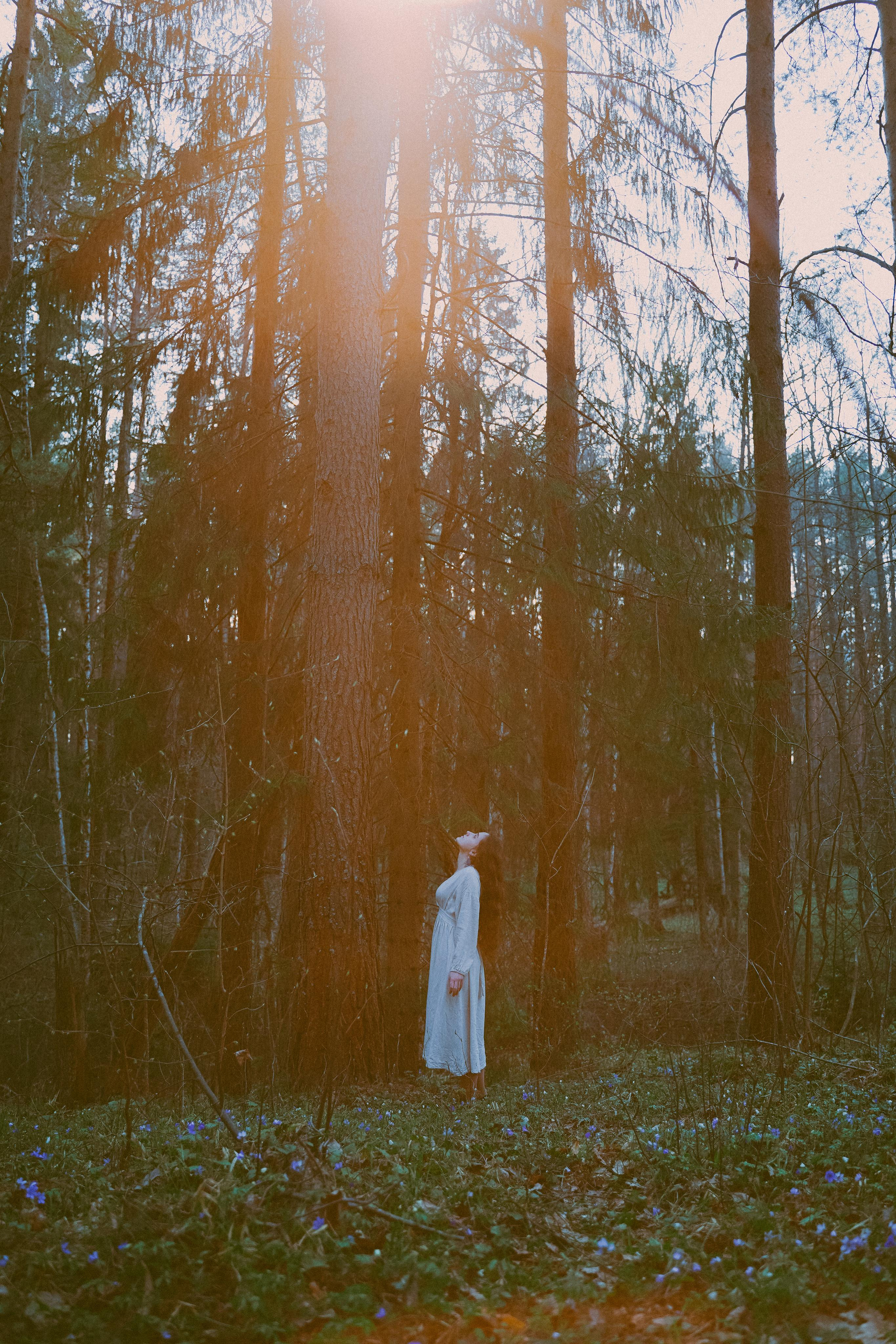 Алмазное небо. Алиса Аницкая