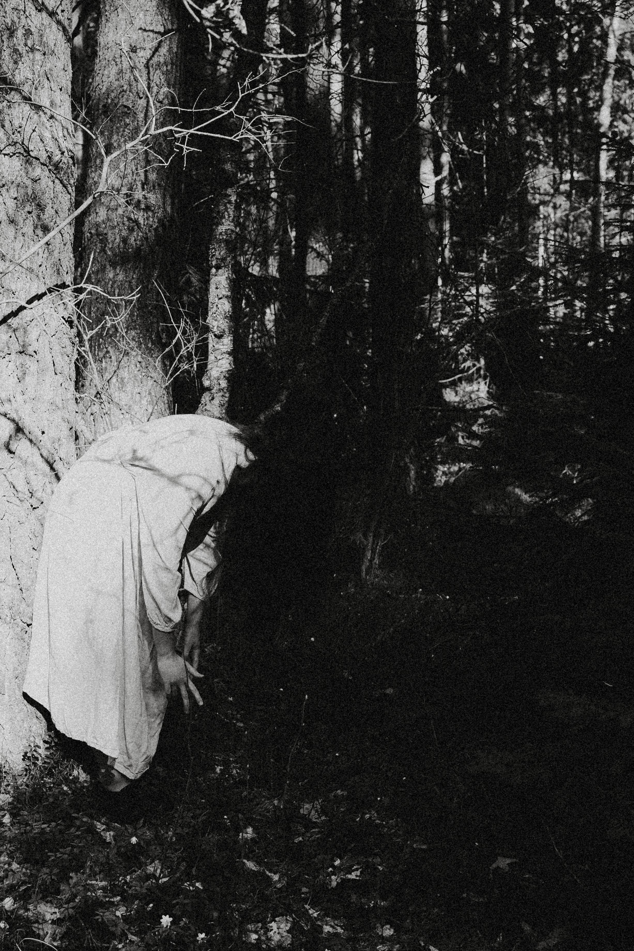 Алмазное небо. Алиса Аницкая