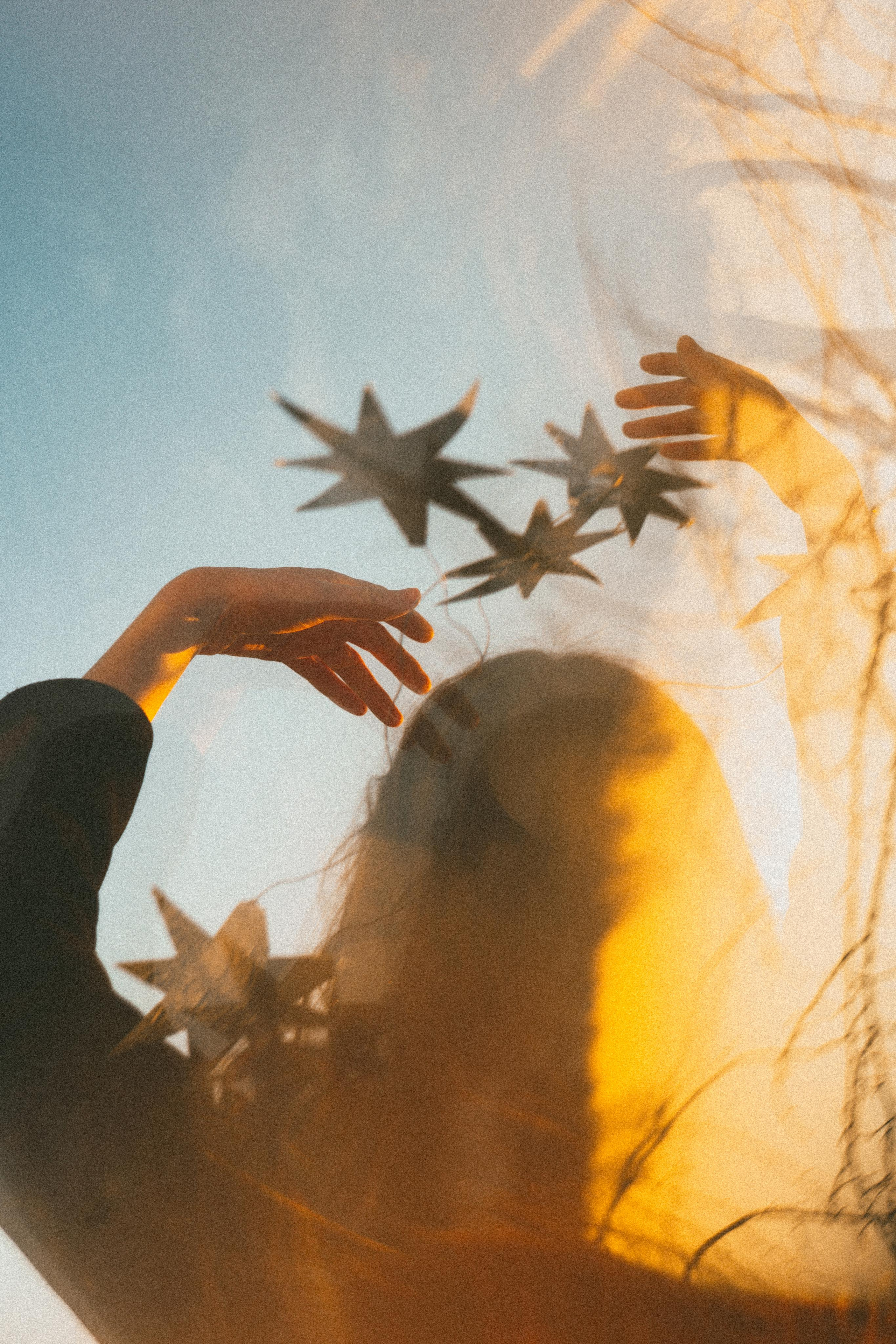 Зимнего солнца сны. Алиса Аницкая