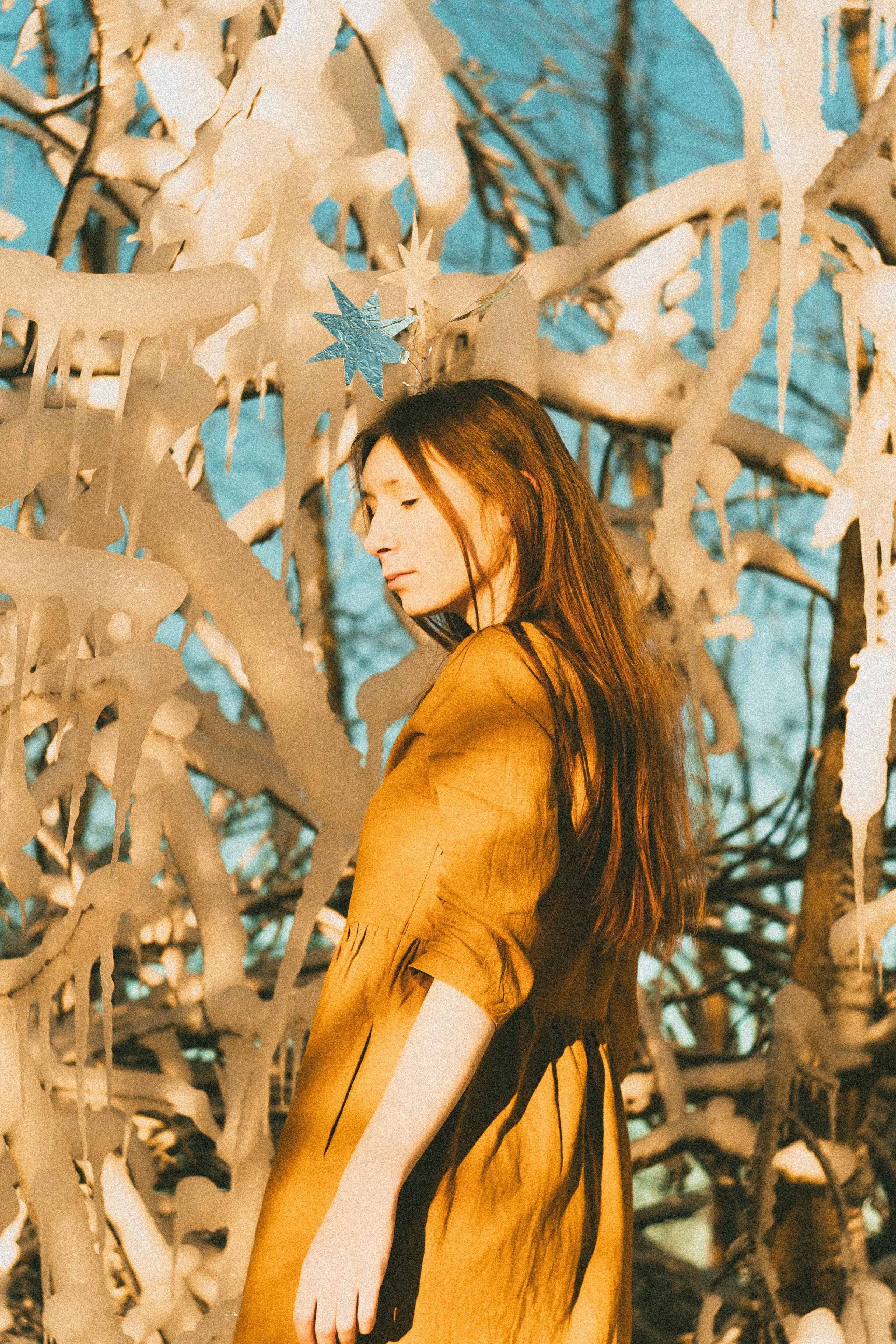 Зимнего солнца сны. Алиса Аницкая