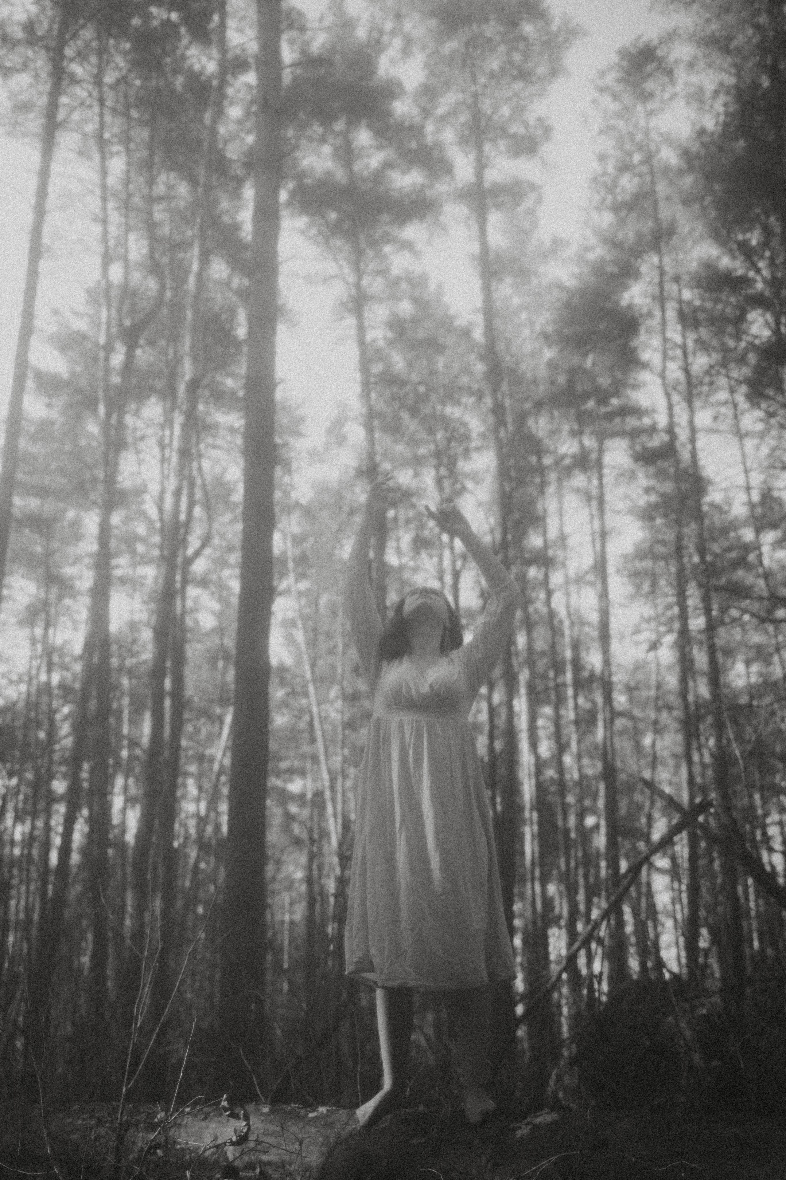 Алмазное небо. Алиса Аницкая