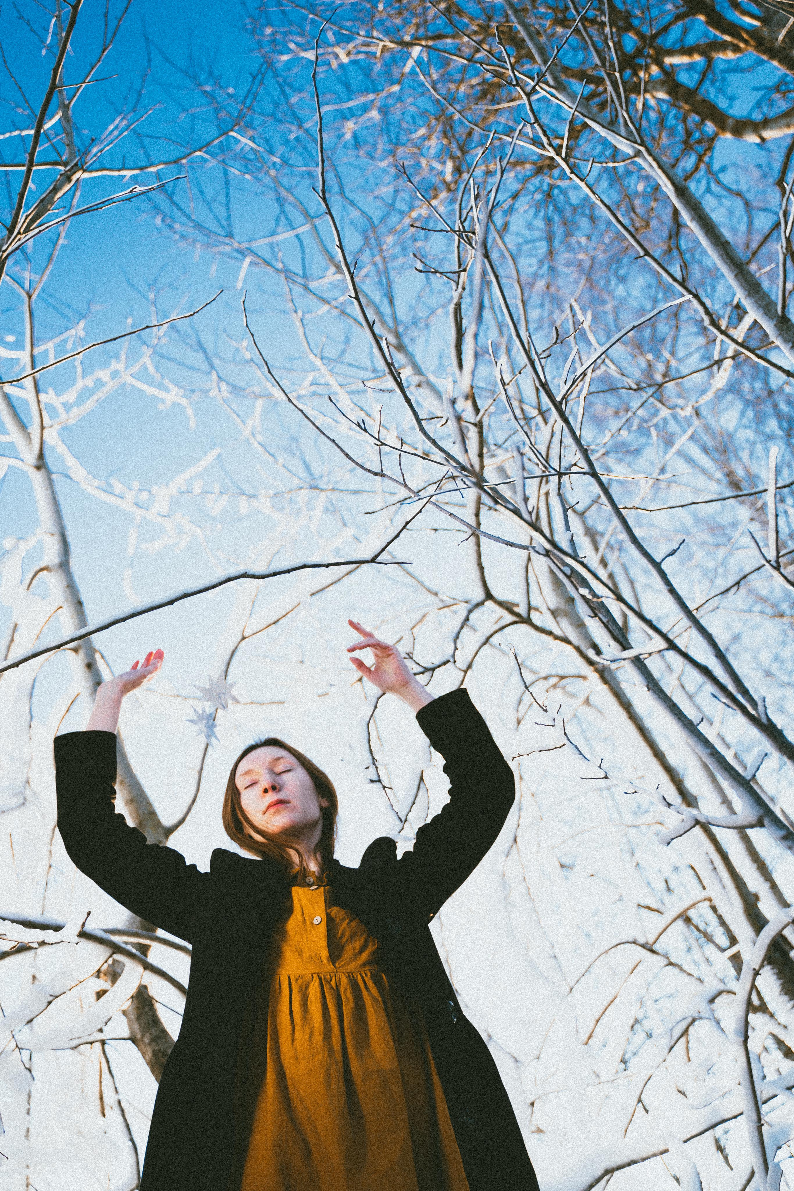 Зимнего солнца сны. Алиса Аницкая