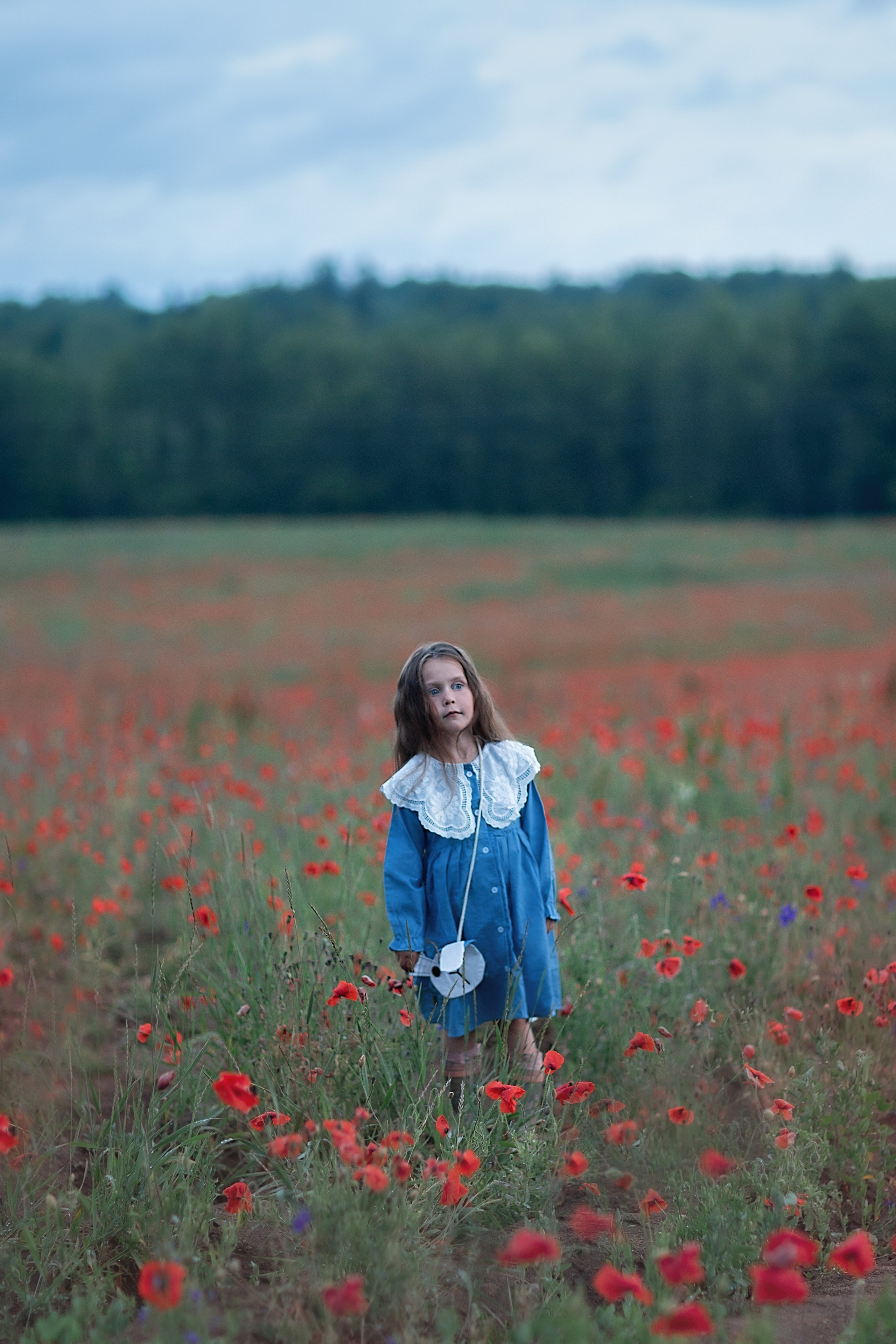 Маки_Псковская область. Семейный фотограф в Санкт-Петербурге