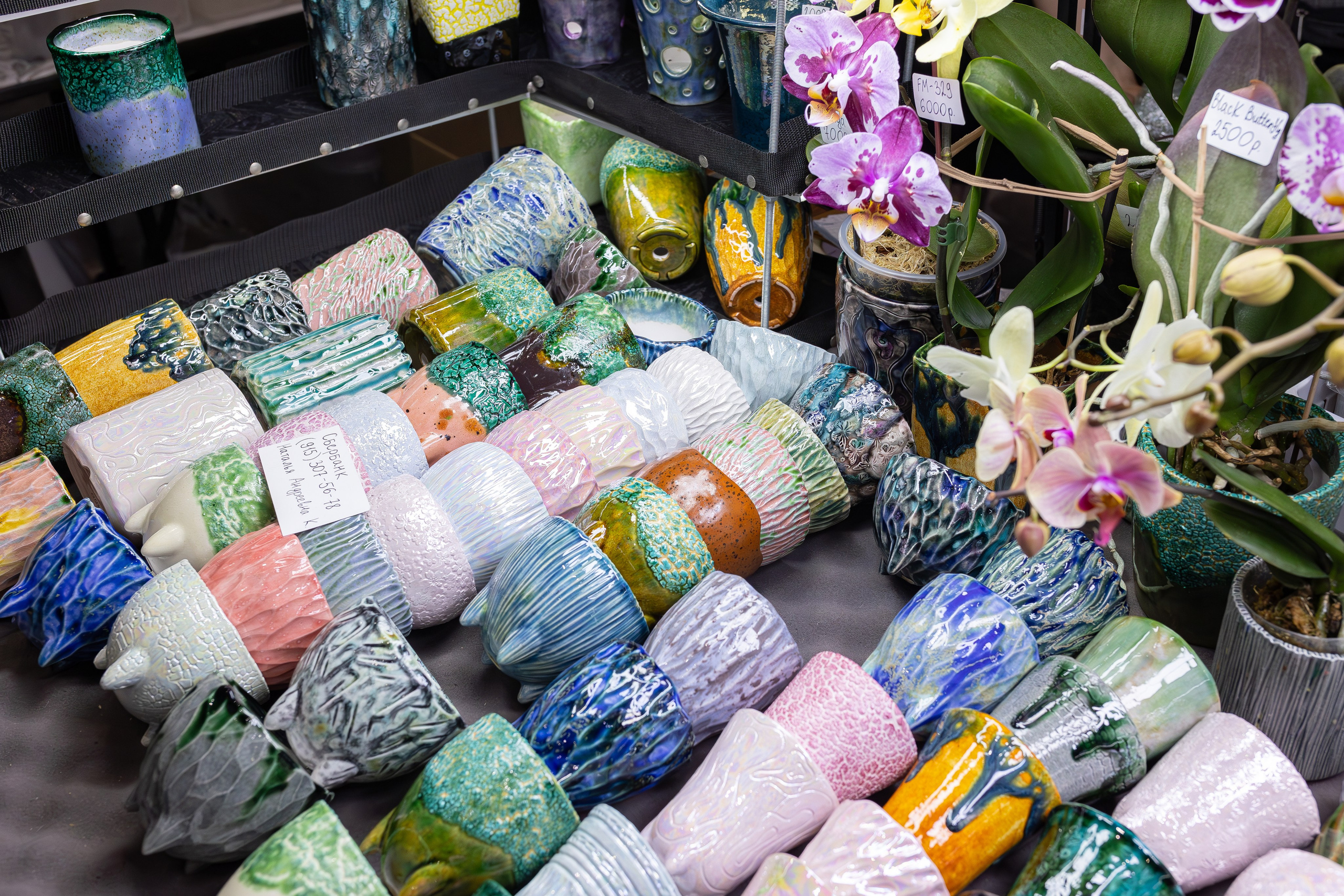 Орхидиум 12.2025. Александра Куликова фотограф, Москва