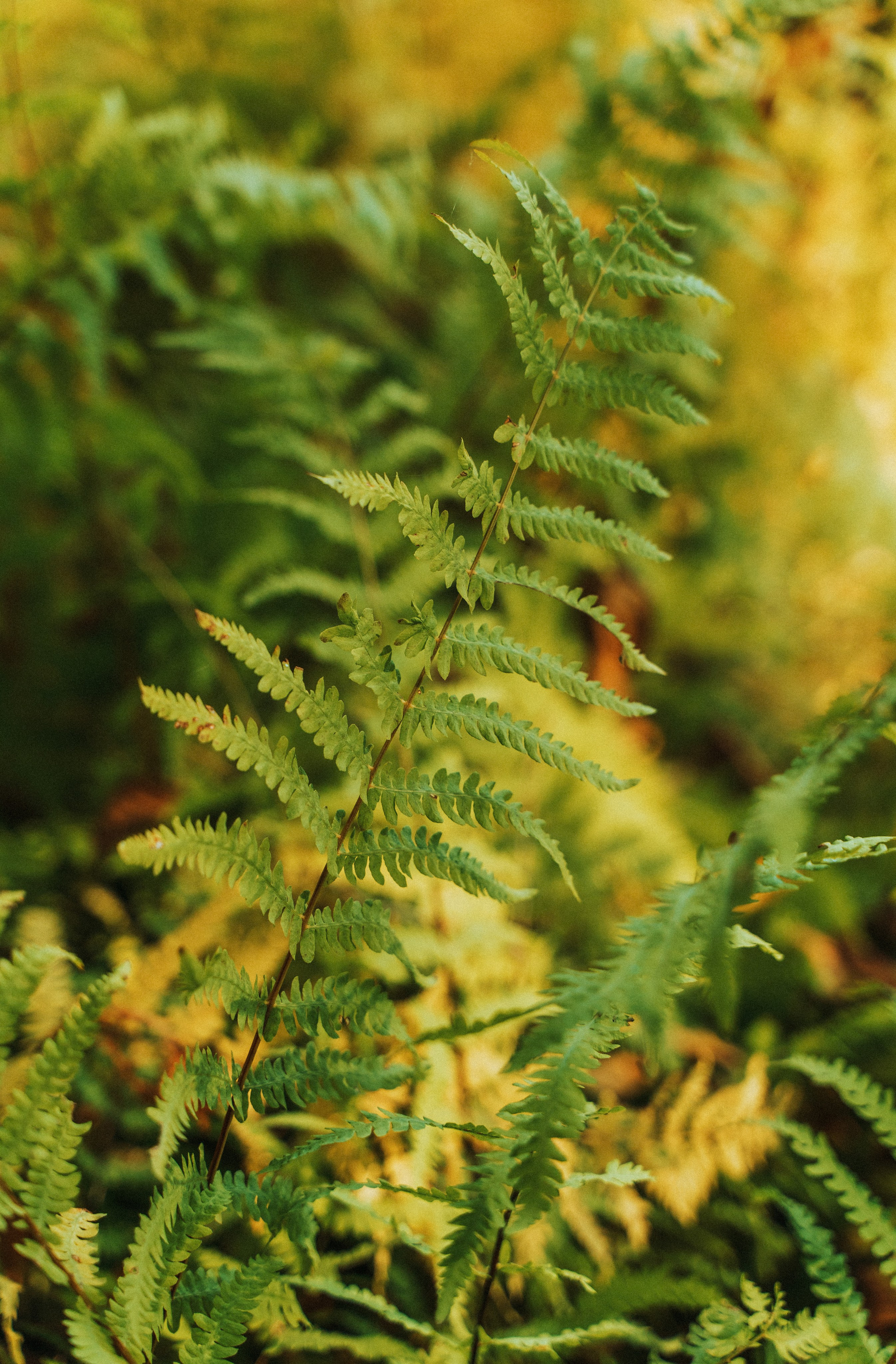 Good Friends Trip / команда локальных путешествий. Саша Копылов, фотограф в Казани