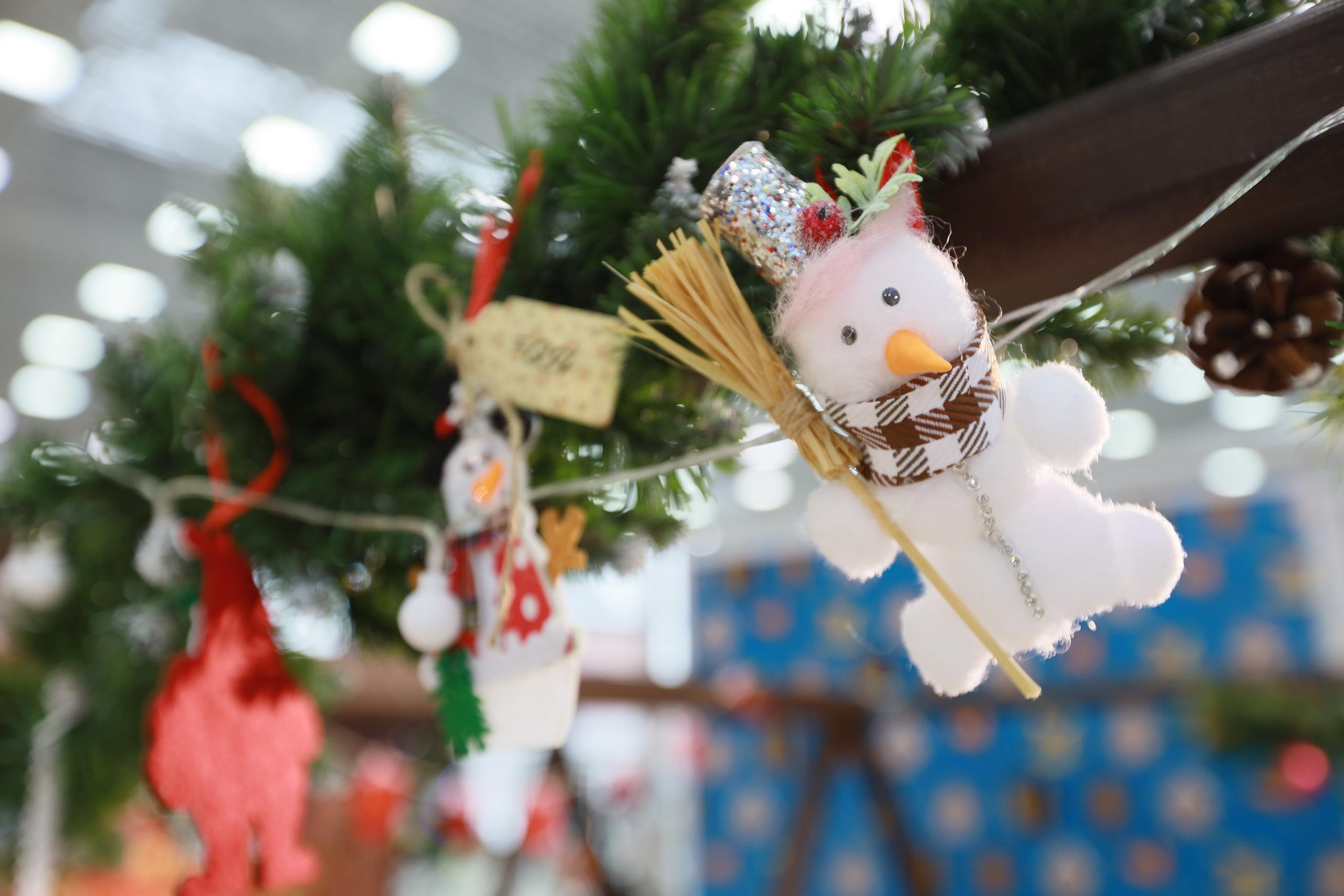 Кремлёвская выставка ярмарка (репортаж). Фотограф в Туле Крупский АнДРей. Фотостудия «КАДР71» в Туле