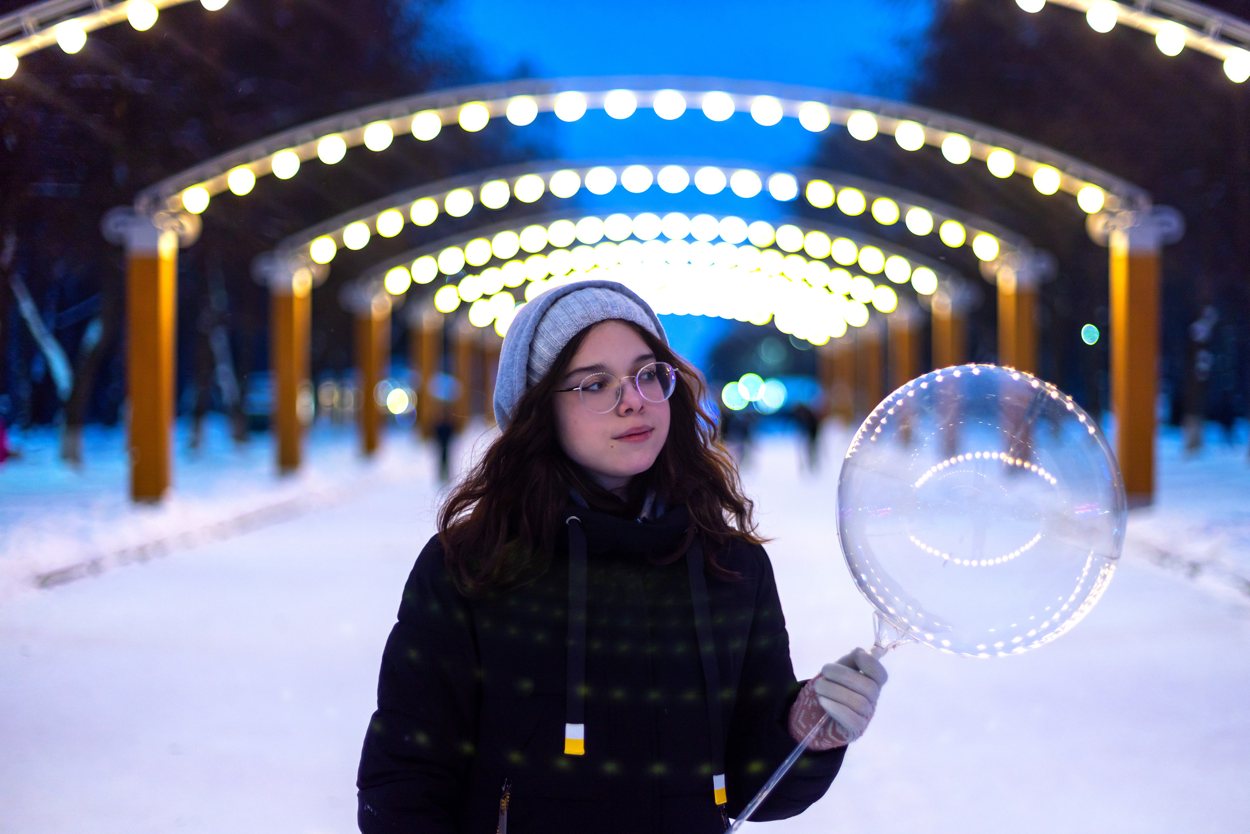 Зимняя вечерняя прогулка в парке (оптика 50 мм f1,4). Фотограф в Туле Крупский АнДРей. Фотостудия «КАДР71» в Туле