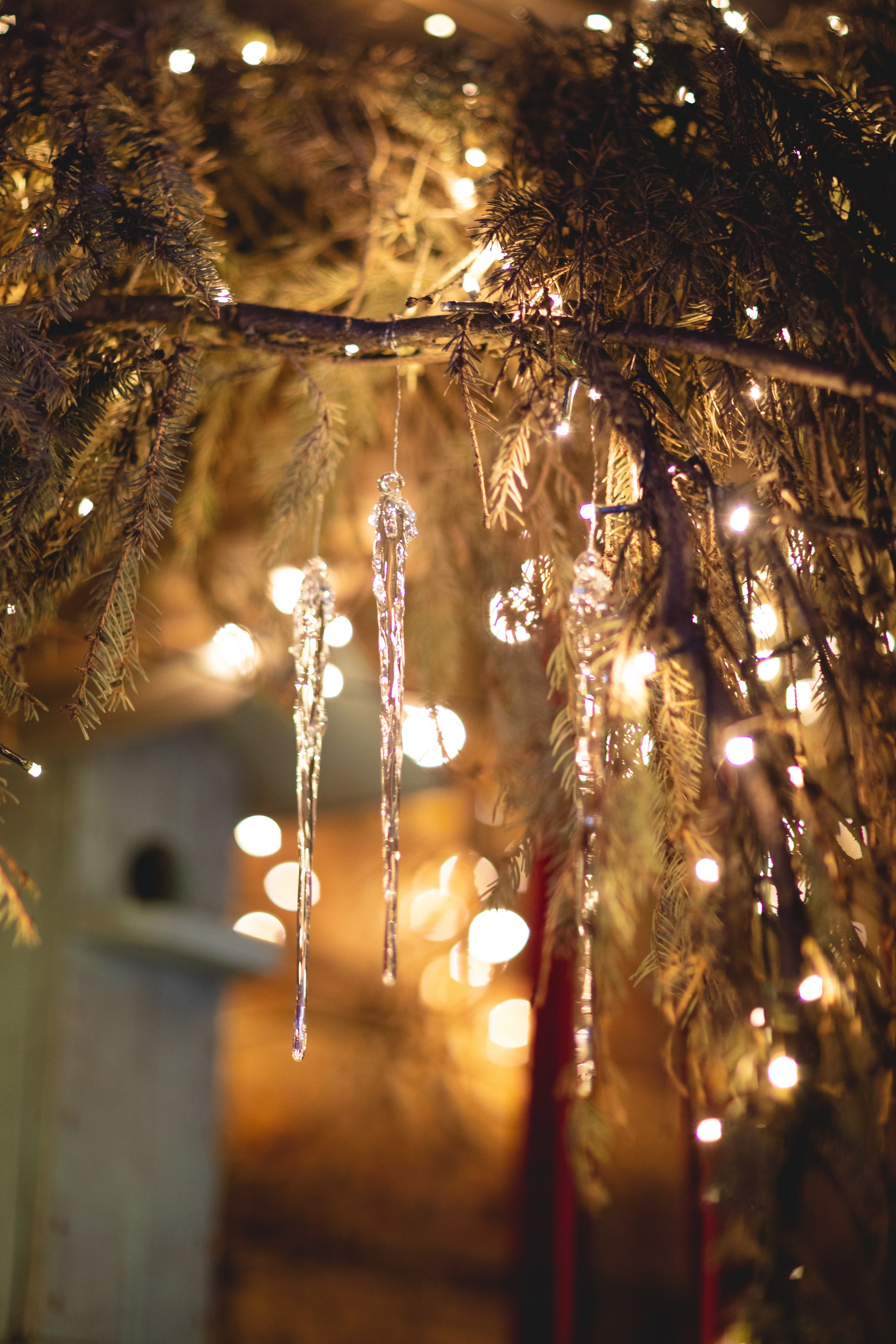 Домик в лесу. Семейный фотограф в Москве Анастасия Гурьянова