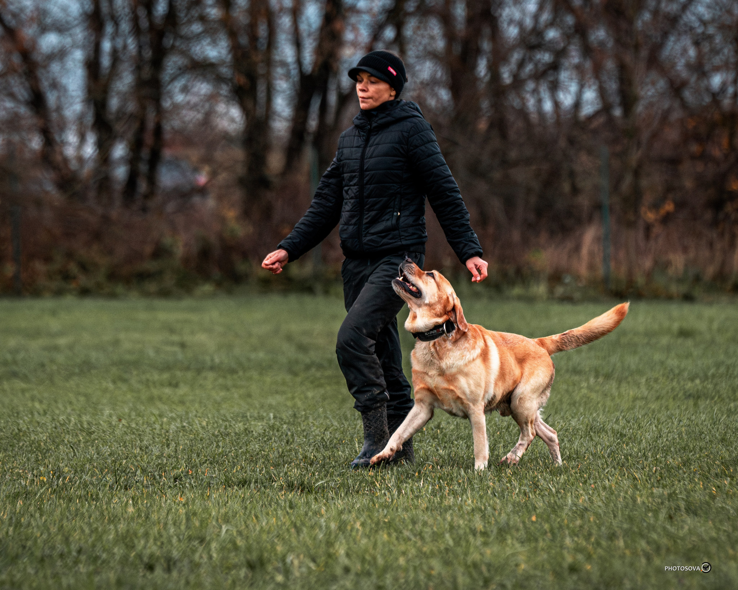МЫ — КОМАНДА (соревнования) OKD, BH, IBGH, IGP. Фотограф-анималист, семейный фотограф в Москве и Подмосковье. Фотосъёмка кинологических дисциплин