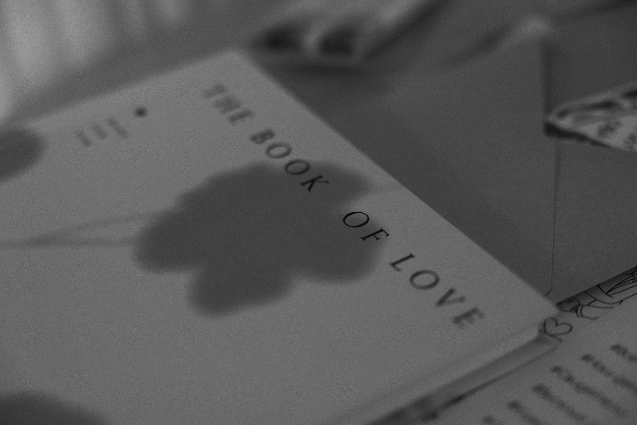 Алексей и Эмилия🤍. Фотограф Маноли Мария