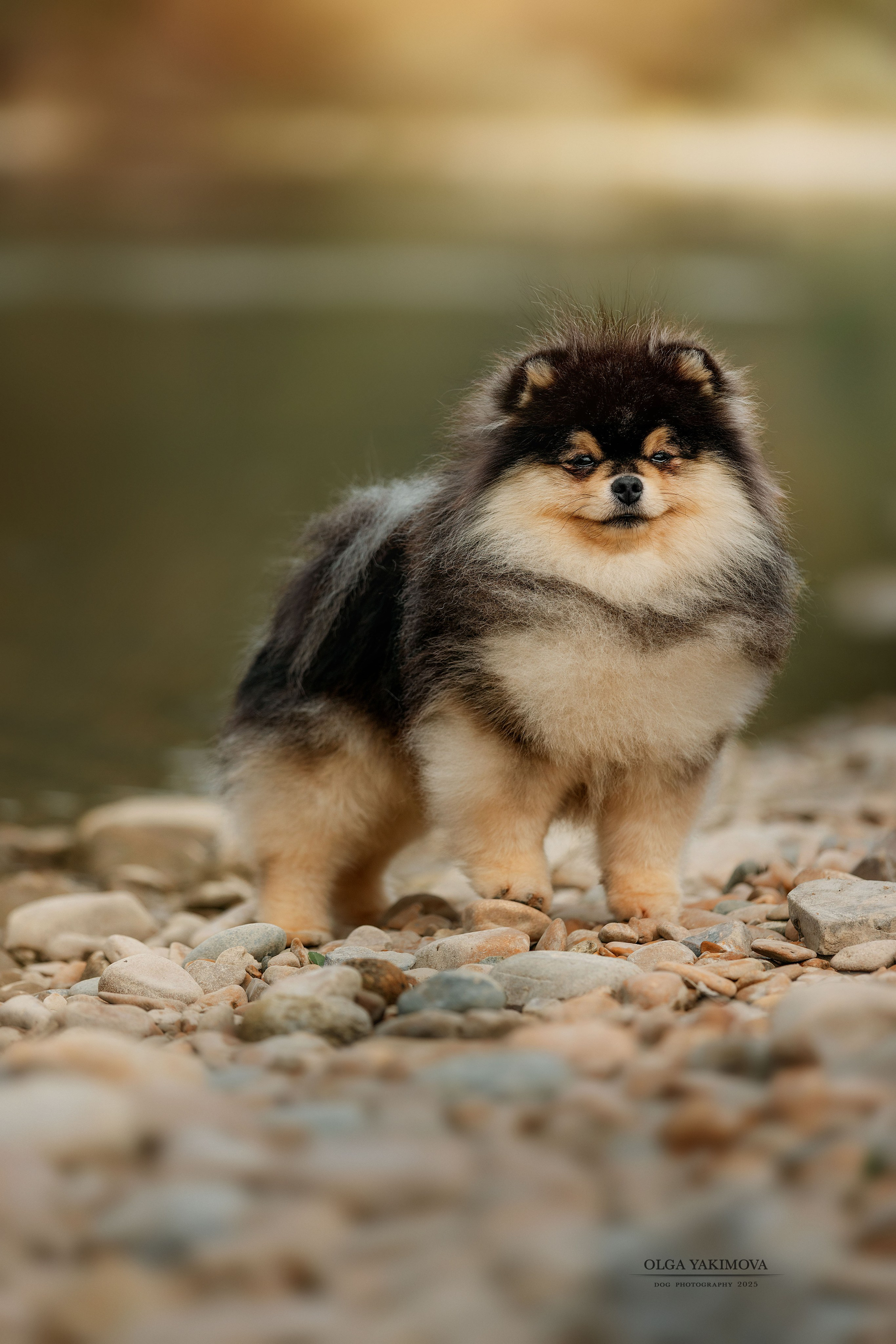 Экстерьер. Фотограф