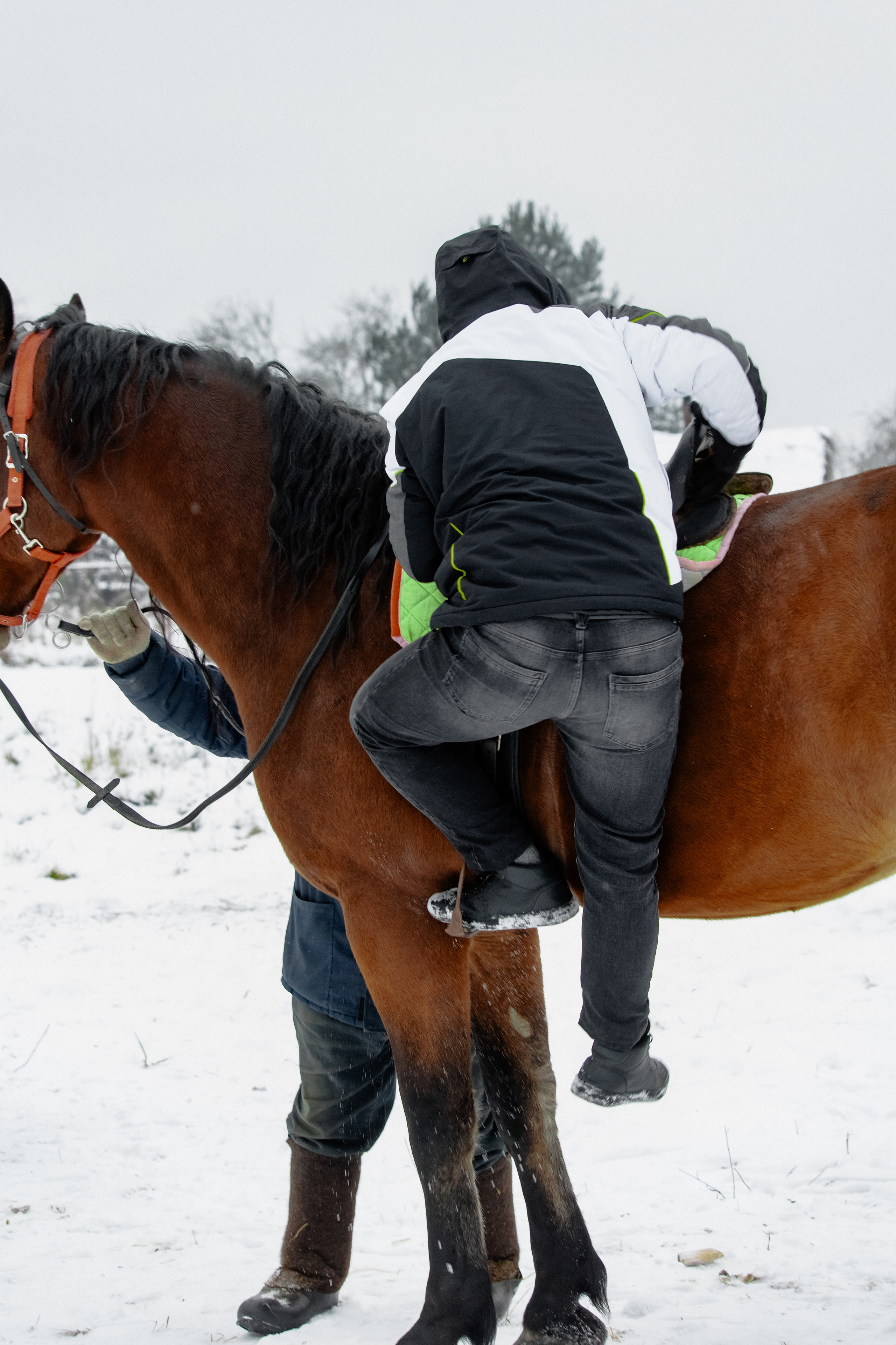 Миниферма в Теребочево. Свадебный и семейный фотограф в г. Волхов Алексей Кочерыжкин