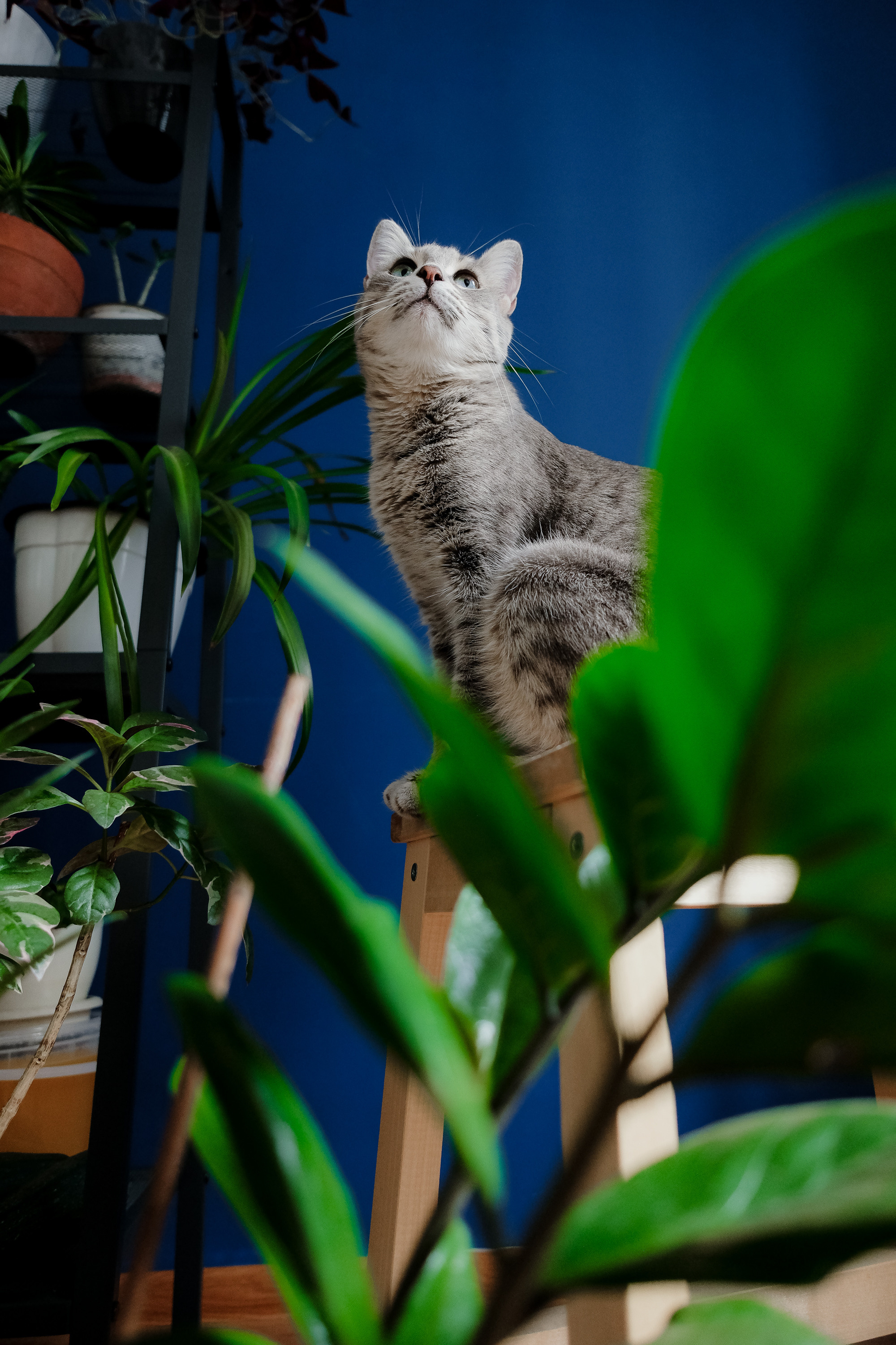 Катрин, Коша и их зелёные друзья. Фотограф Ёля Ильясова Оренбург