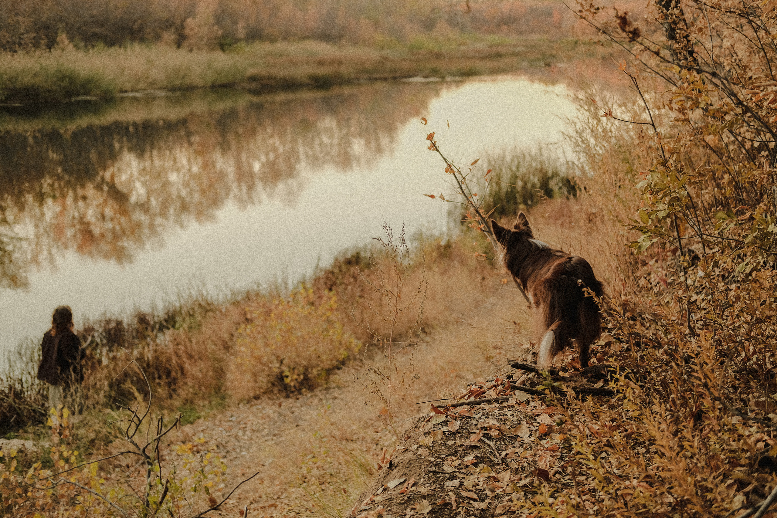 Аня и Шива. Фотограф Ёля Ильясова Оренбург
