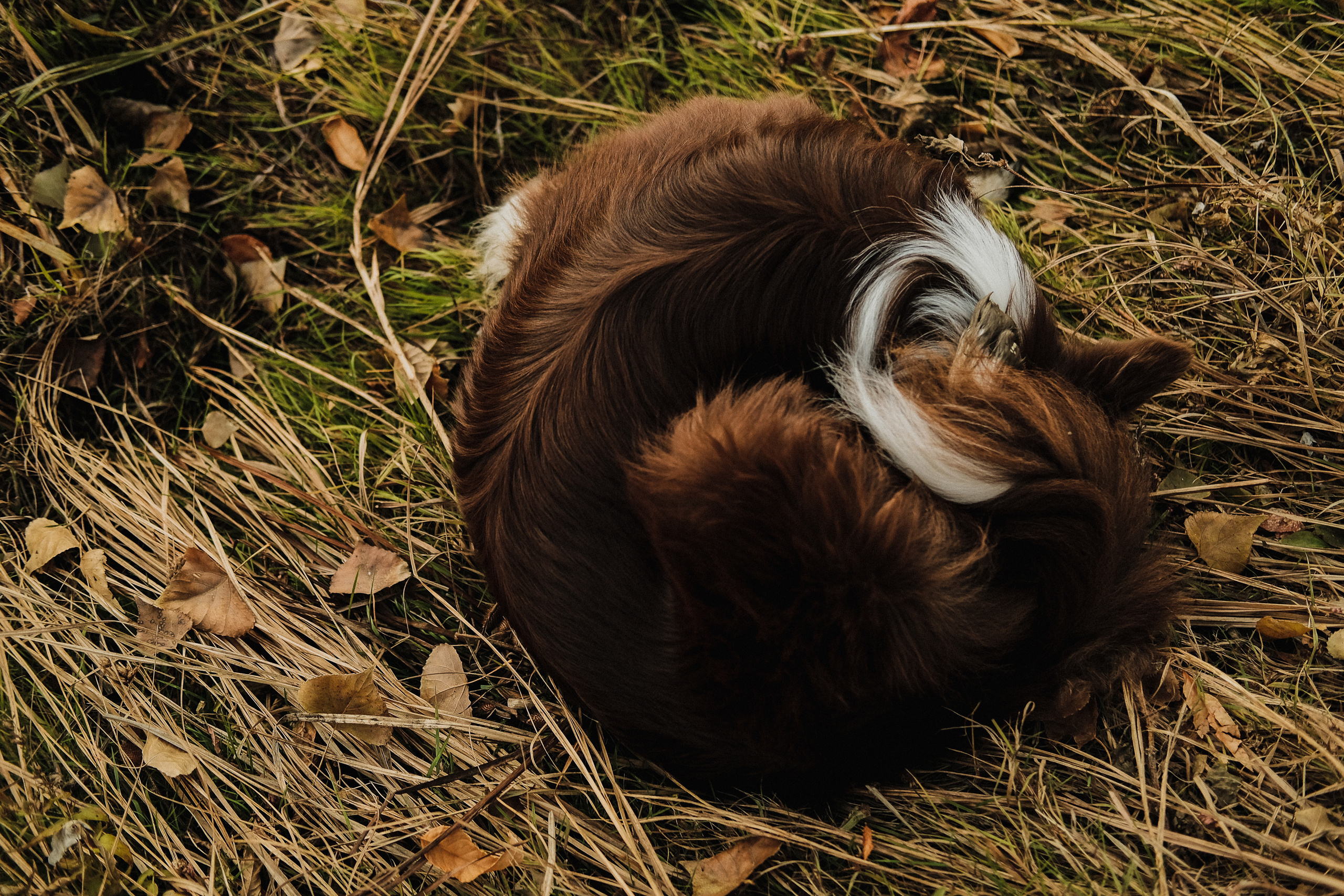Аня и Шива. Фотограф Ёля Ильясова Оренбург