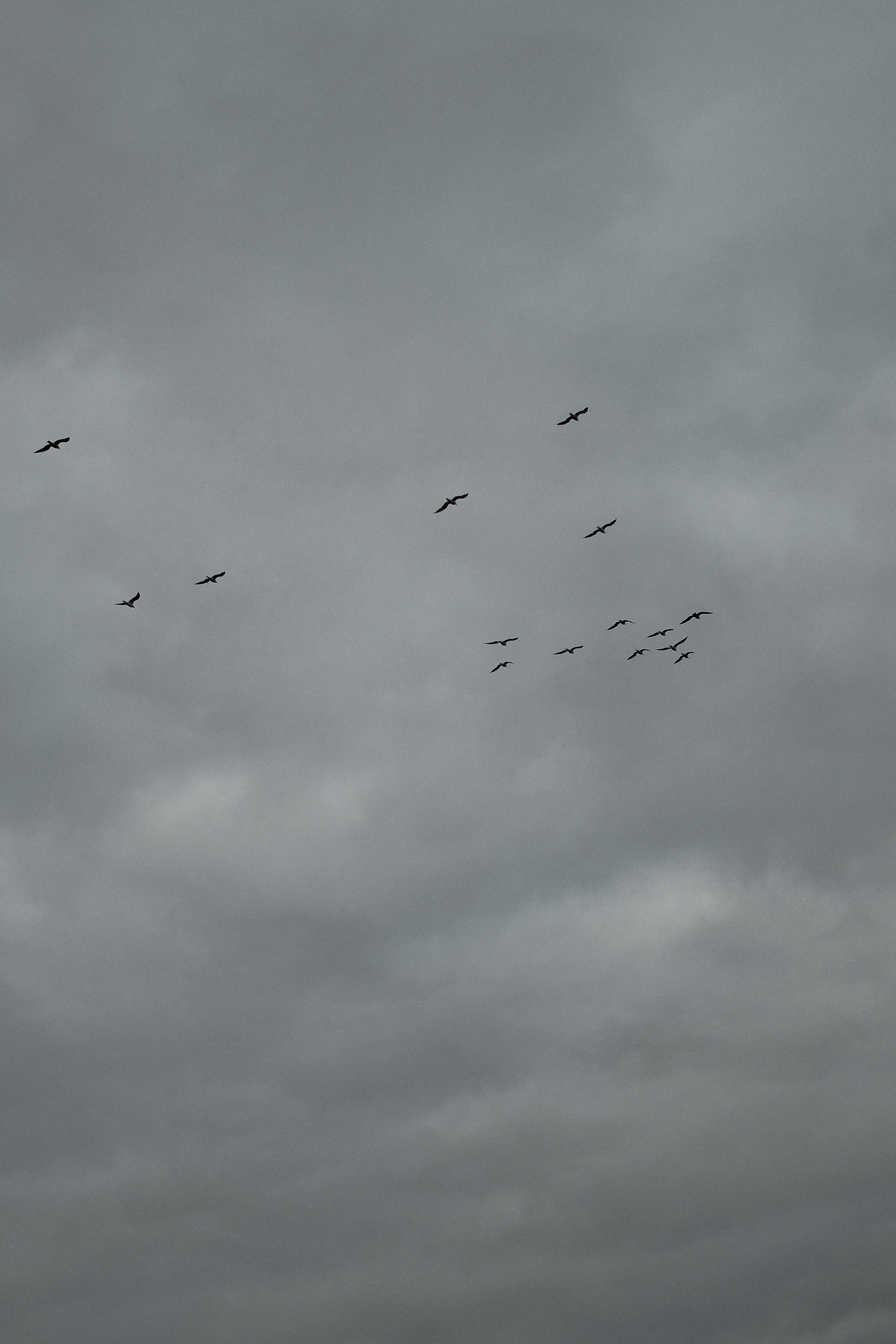 И в мрачные дни опора. Фотограф Ёля Ильясова Оренбург