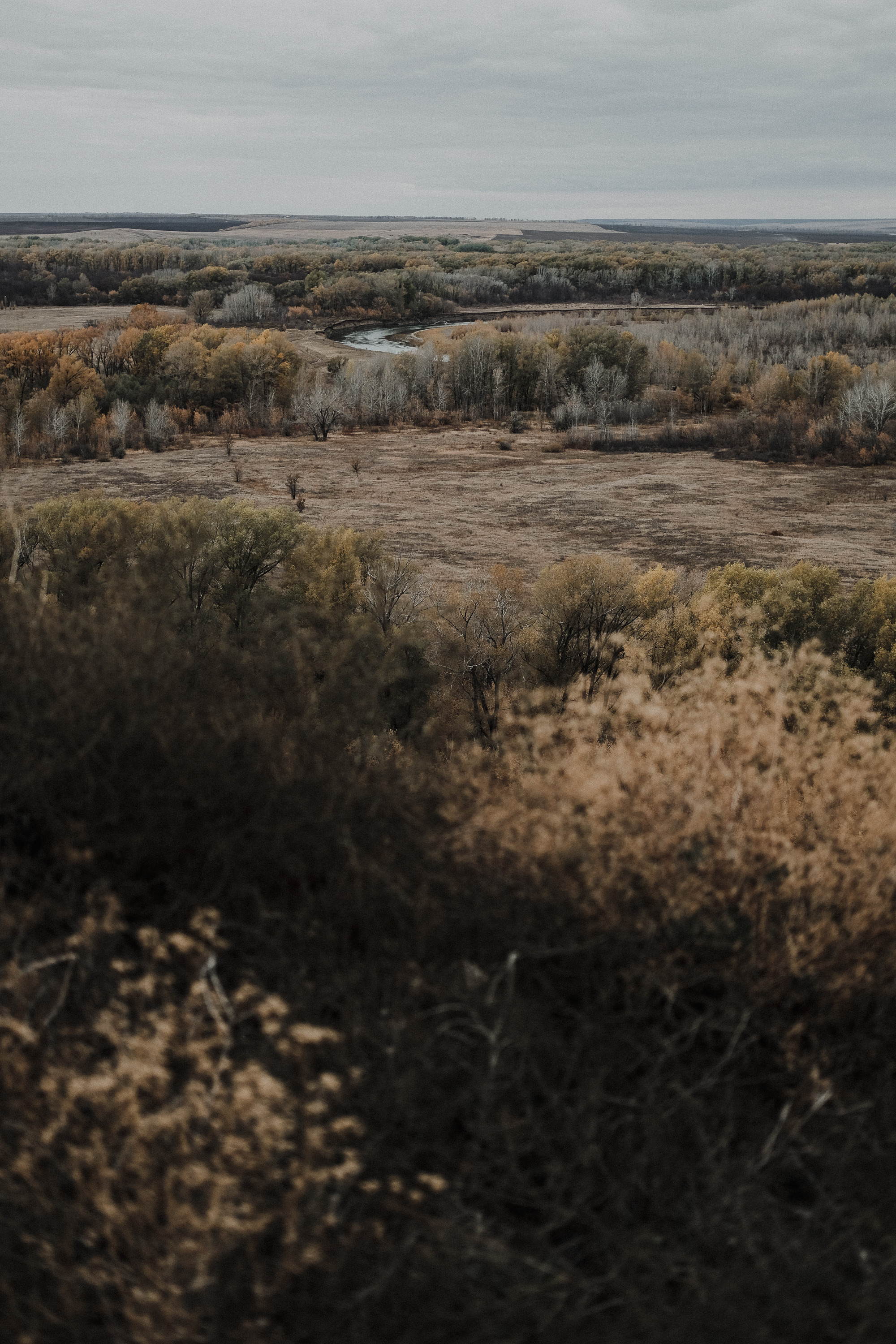 И в мрачные дни опора. Фотограф Ёля Ильясова Оренбург