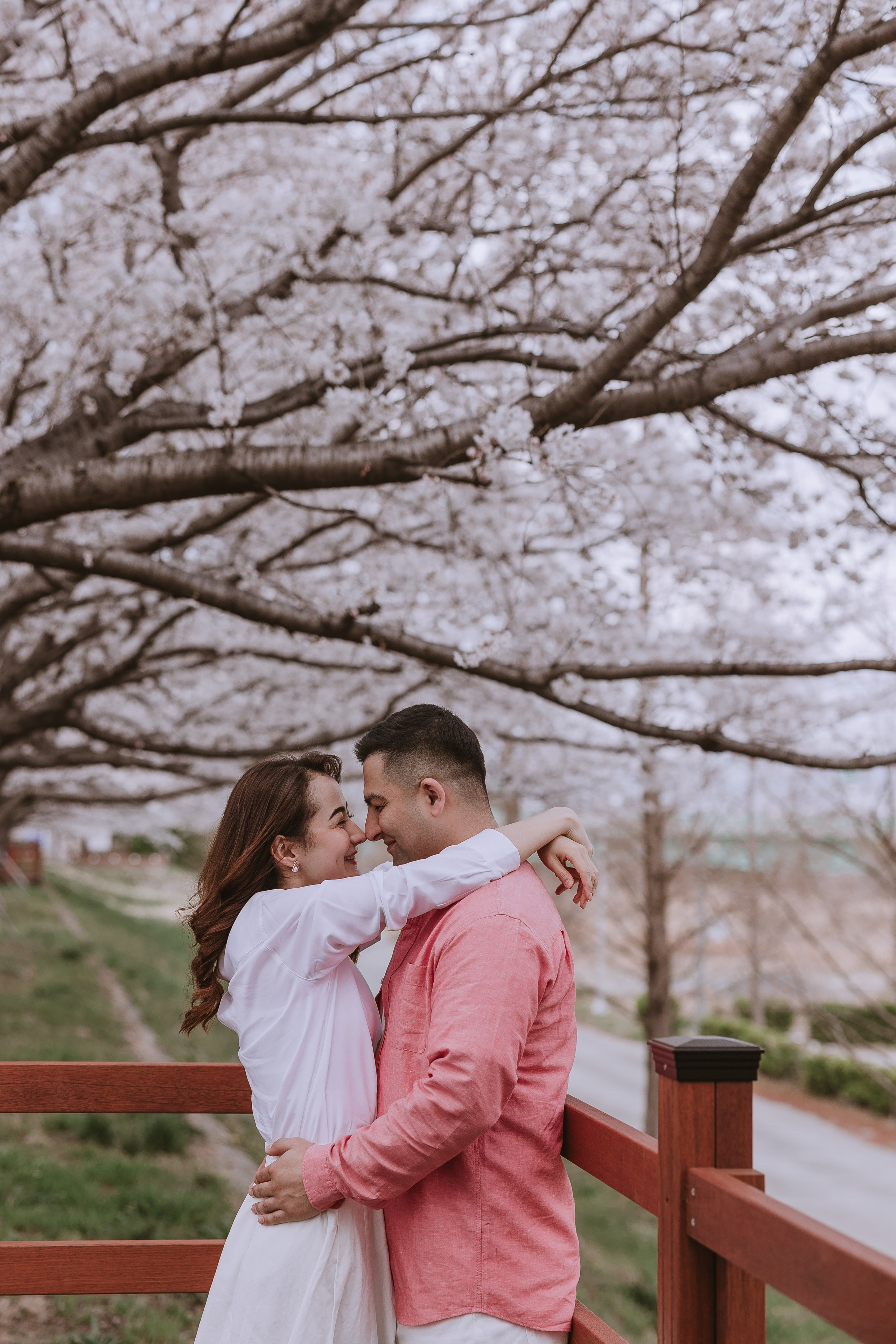 Романтическая прогулка в Пусане в сакуре. ВАШ ФОТОГРАФ В ПУСАНЕ (Южная Корея) Александра Ануфрий