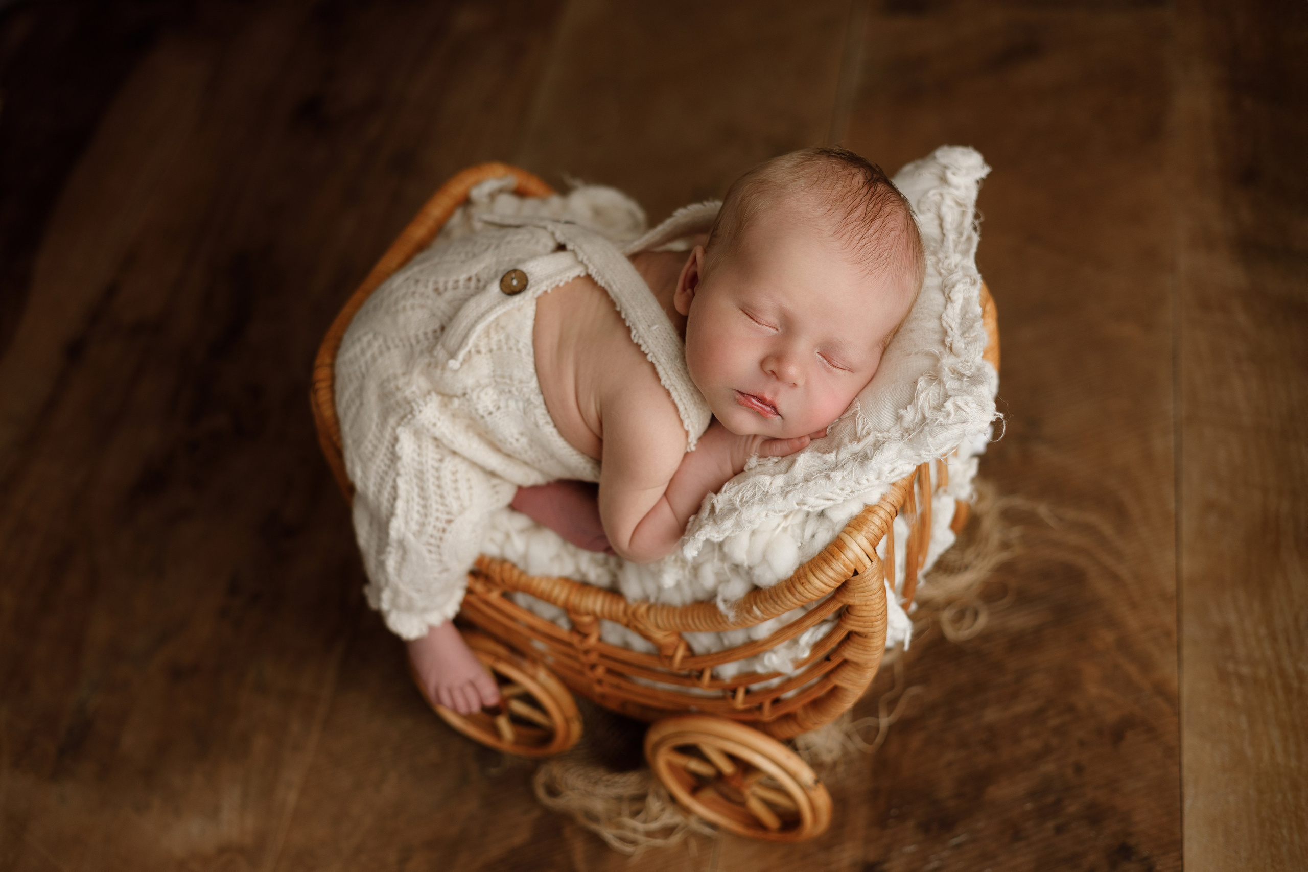 Лев пакет Малыш и семья с фотокнигой. Фотограф новорожденных ньюборн newborn в Краснодаре Алена Гребенькова