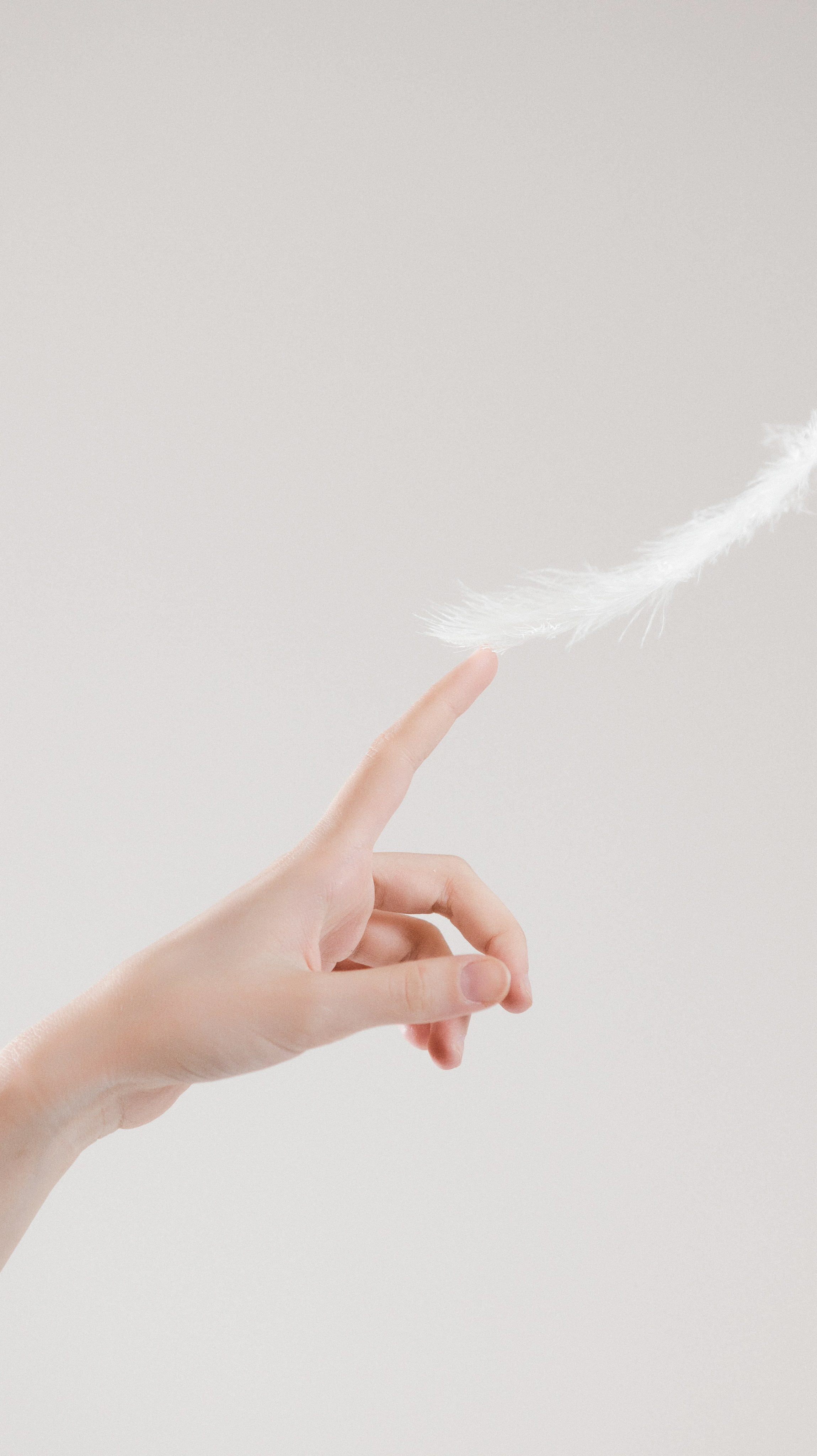 Боди. Фото съемка товаров для макретплейсов Воронеж