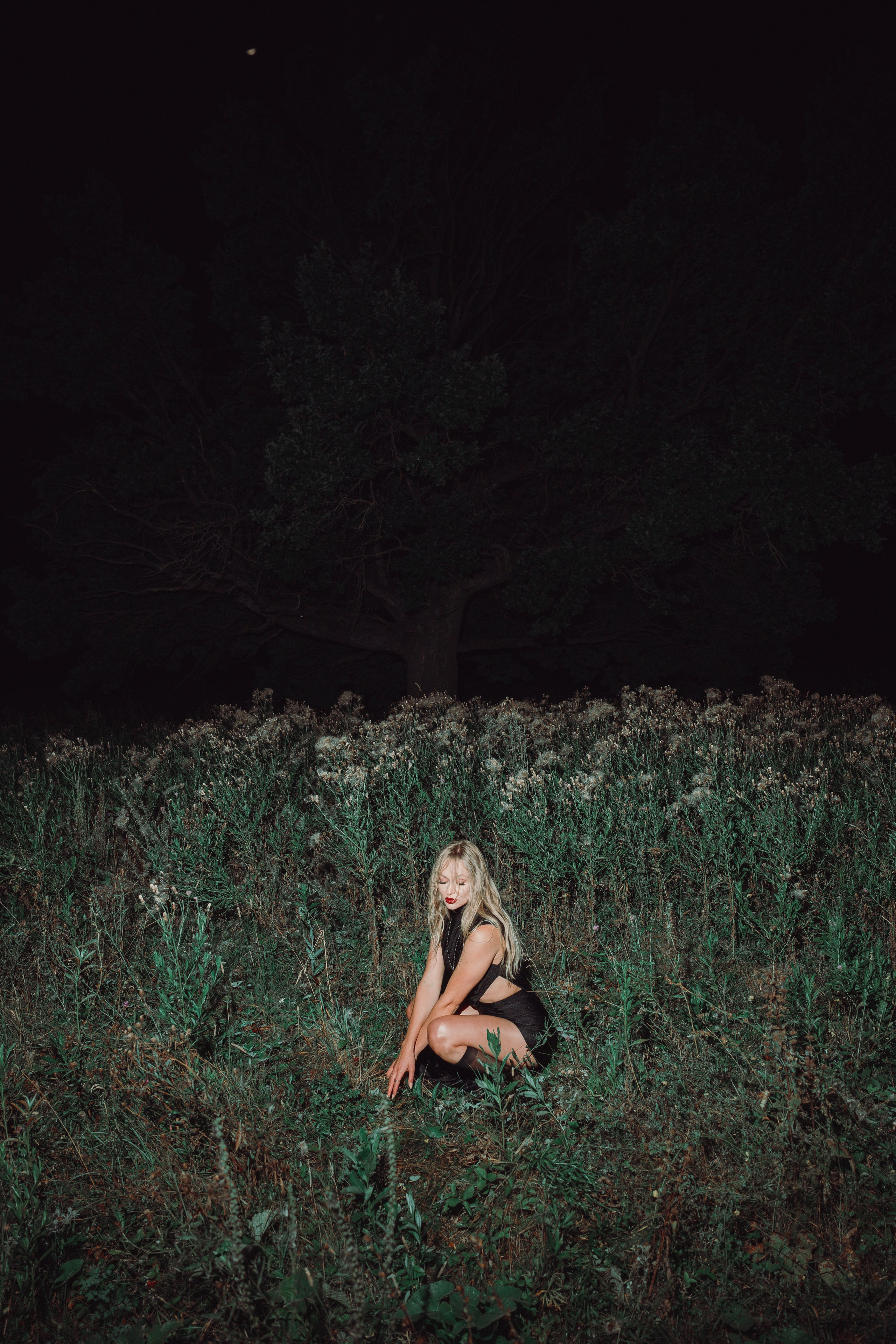 Ночной стиль дубов. Свадебный и репортажный фотограф Павел Царьков