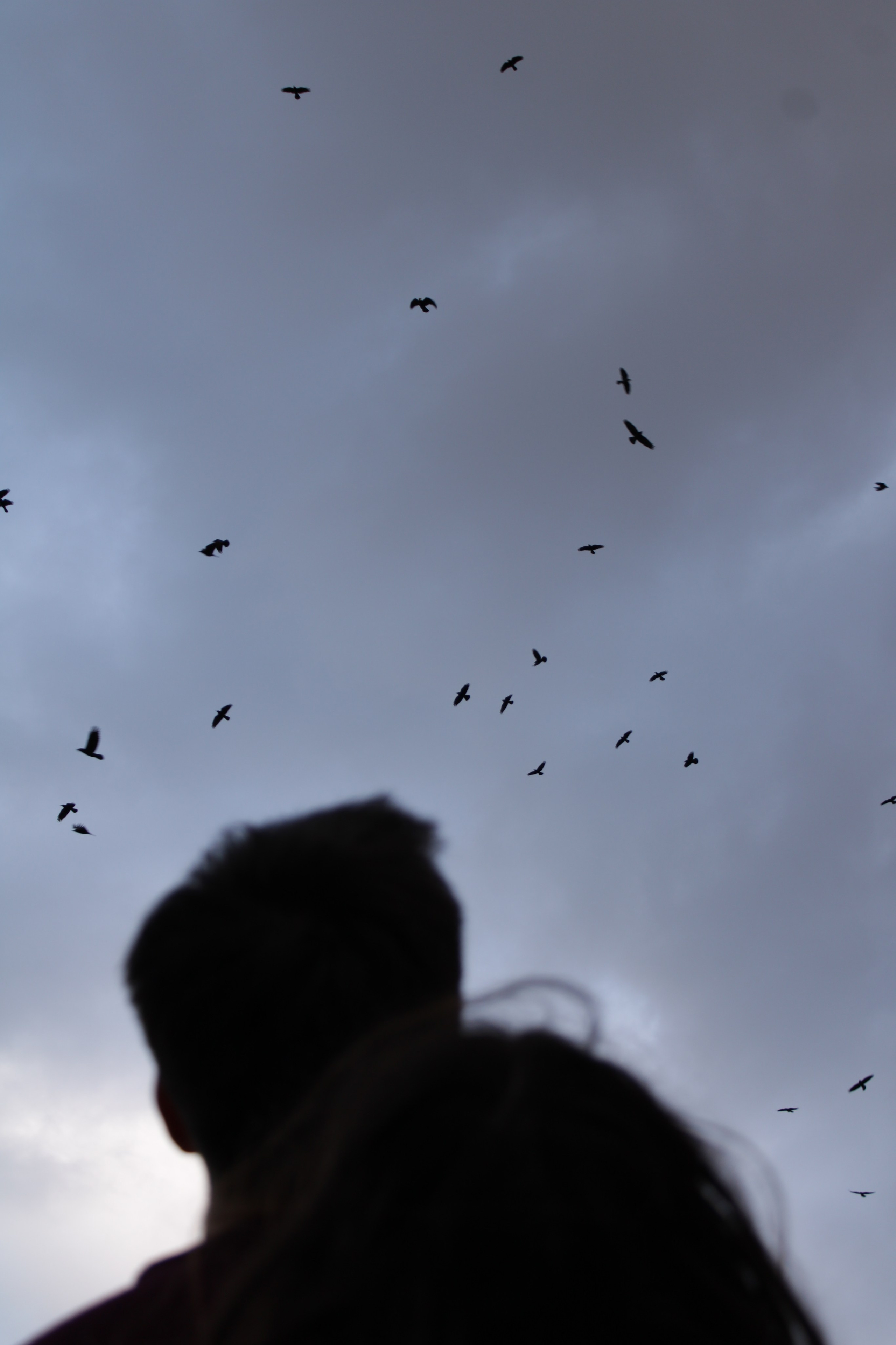 Лавстори и семьи. Портретный фотограф Москва | Елена Столиванова