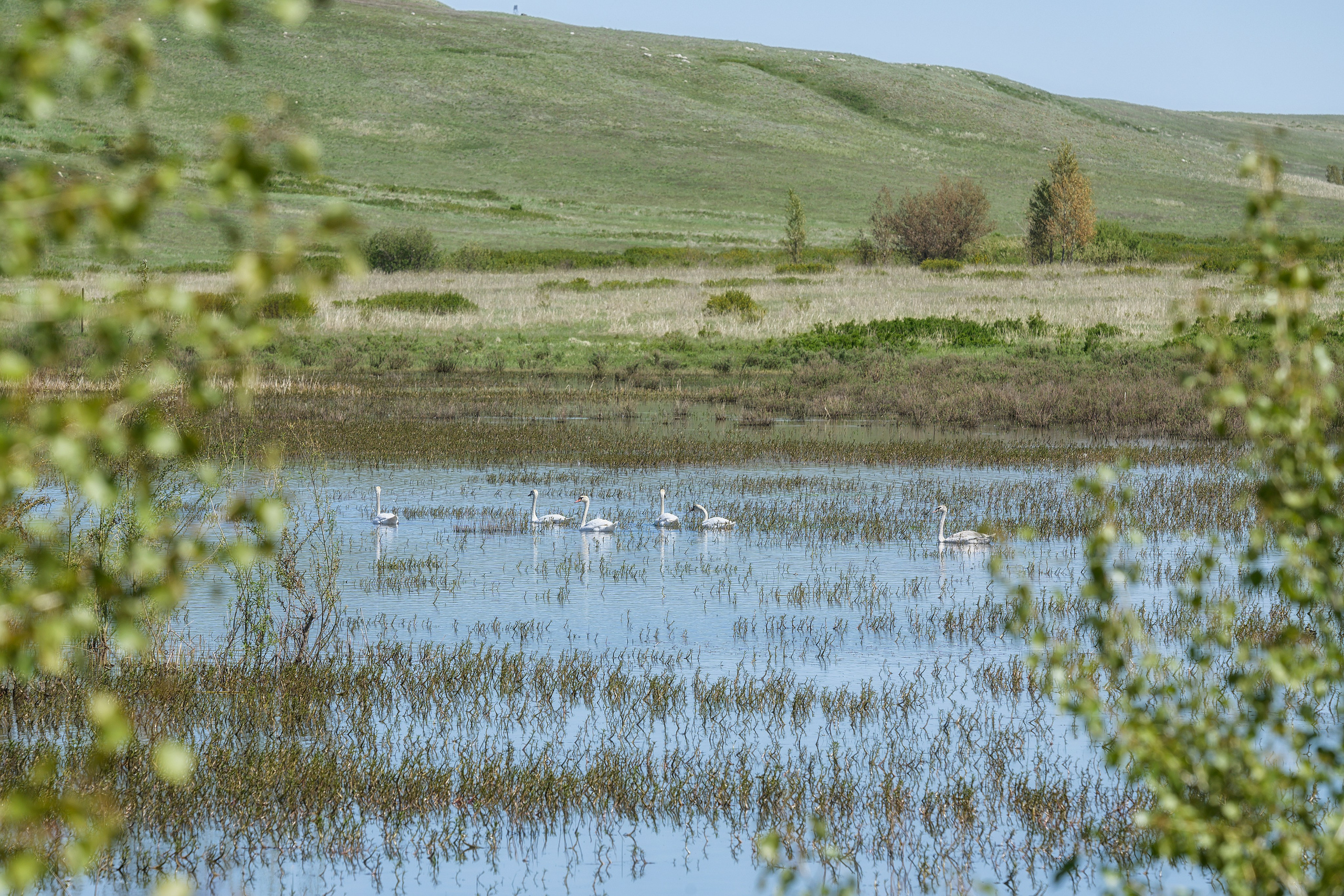 Оренбуржье. Портретный фотограф в Челябинске Катерина Руди