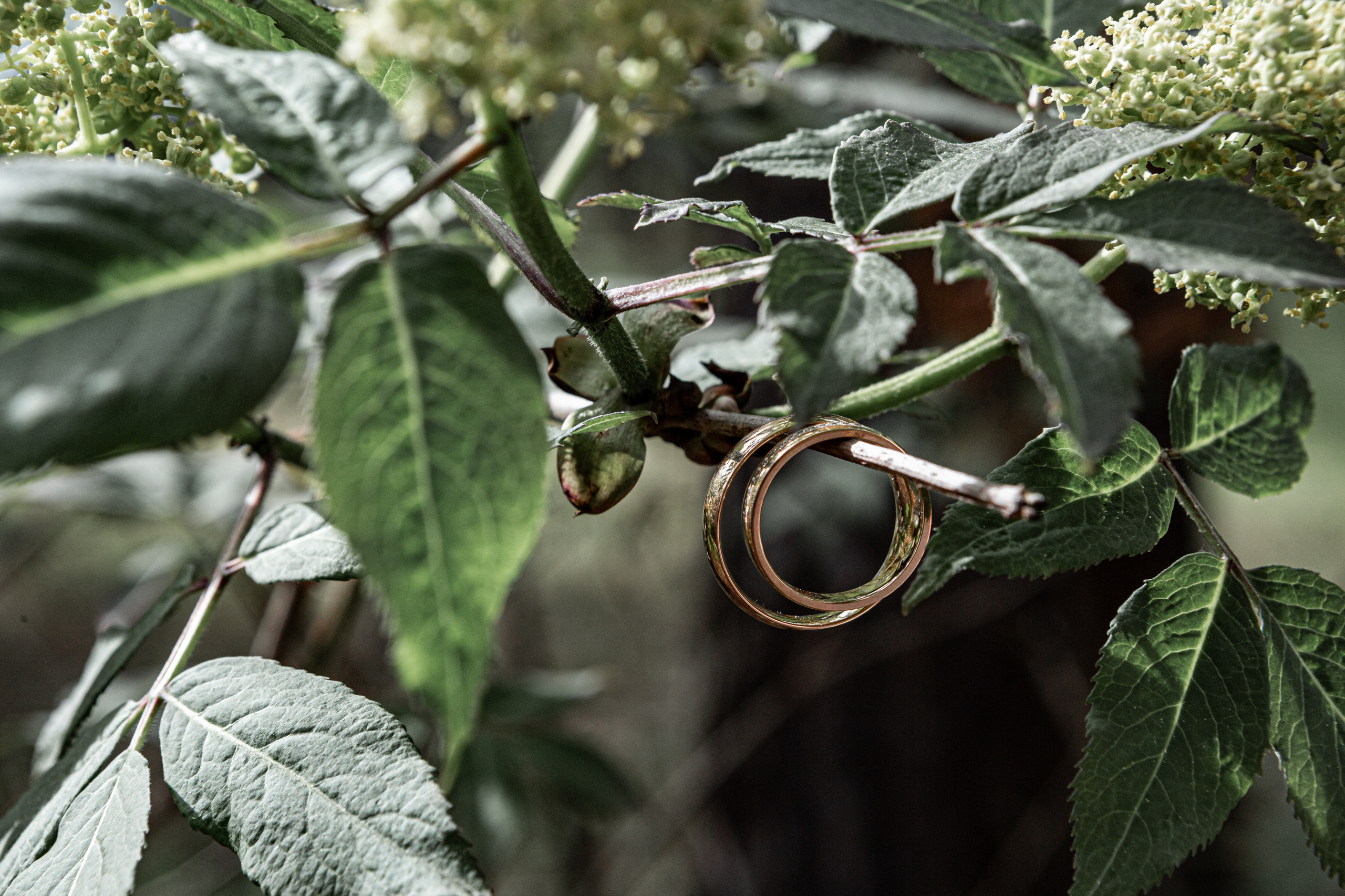 свадебный фотограф Нижний новгород, свадебная фотосессия, фотосессия, лав стори Нижний новгород, Владимир Пресняков фотограф НН, свадебные фотосессии в Нижнем Новгороде, свадебный фотограф Нижний Новгород, фотограф love story Нижний Новгород, фотосъемка в Нижнем Новгороде, фотограф Нижний Новгород, свадебный фотограф Москва, свадебная фотосессия, фотосессия москва, лав стори Москва