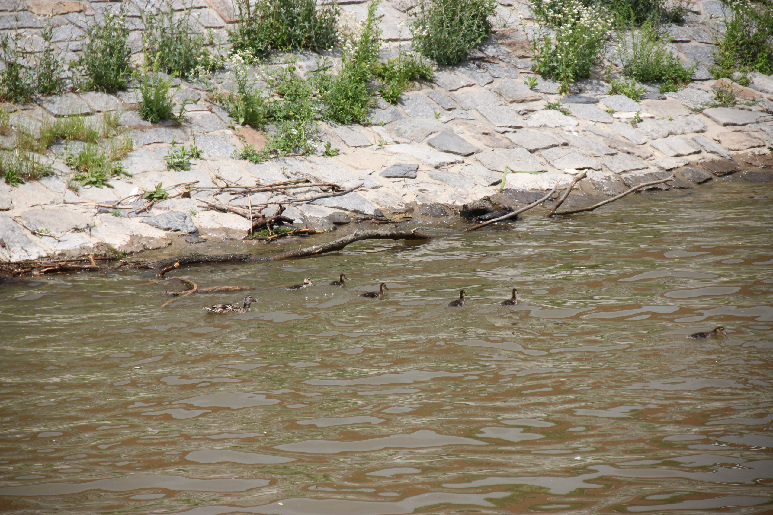 Prague, Czech Republic. Andrey Filippov Photographer
