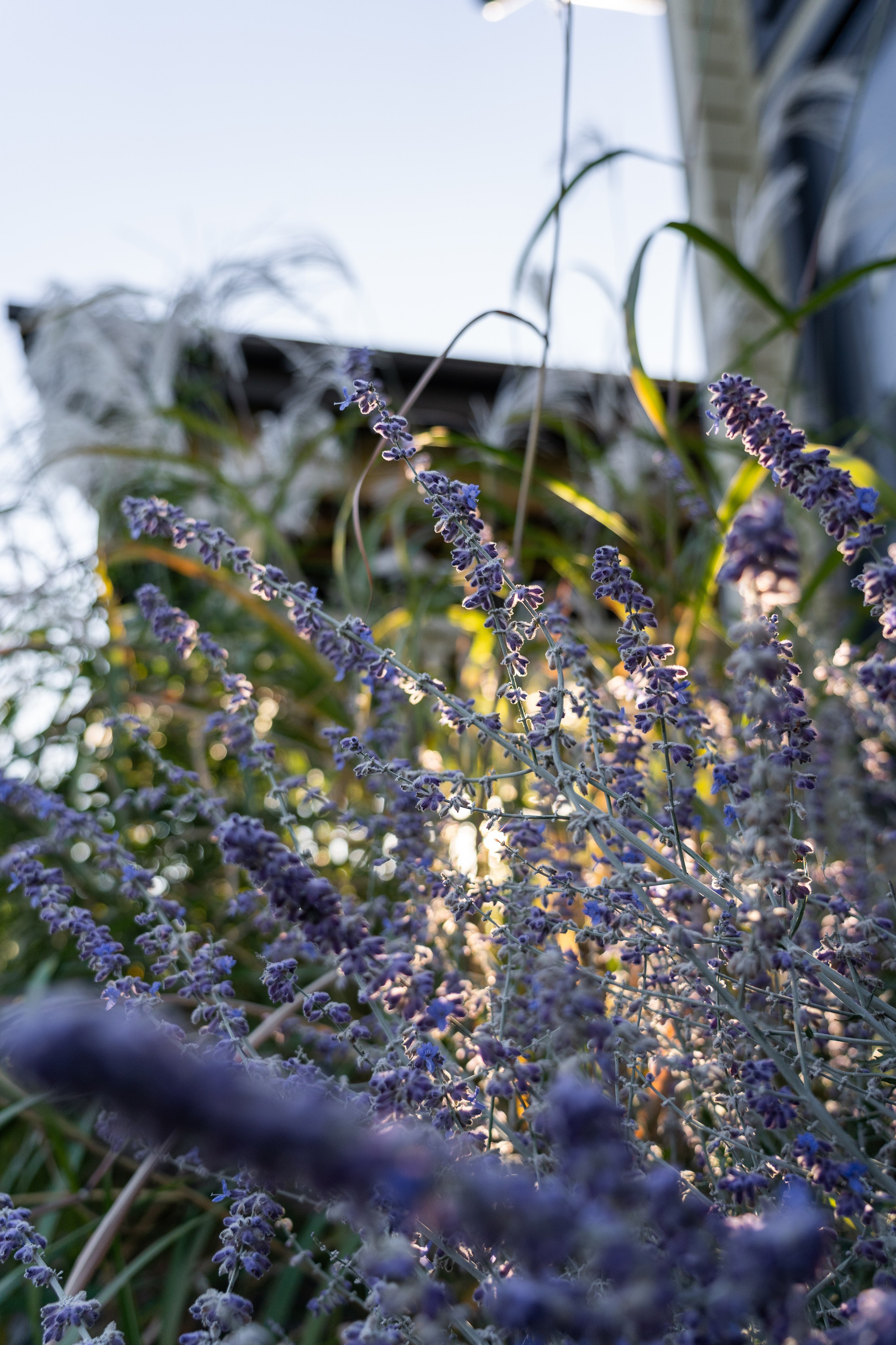 In the mystery of the setting sun. Артамонов Александр | Архитектурный и ландшафтный фотограф