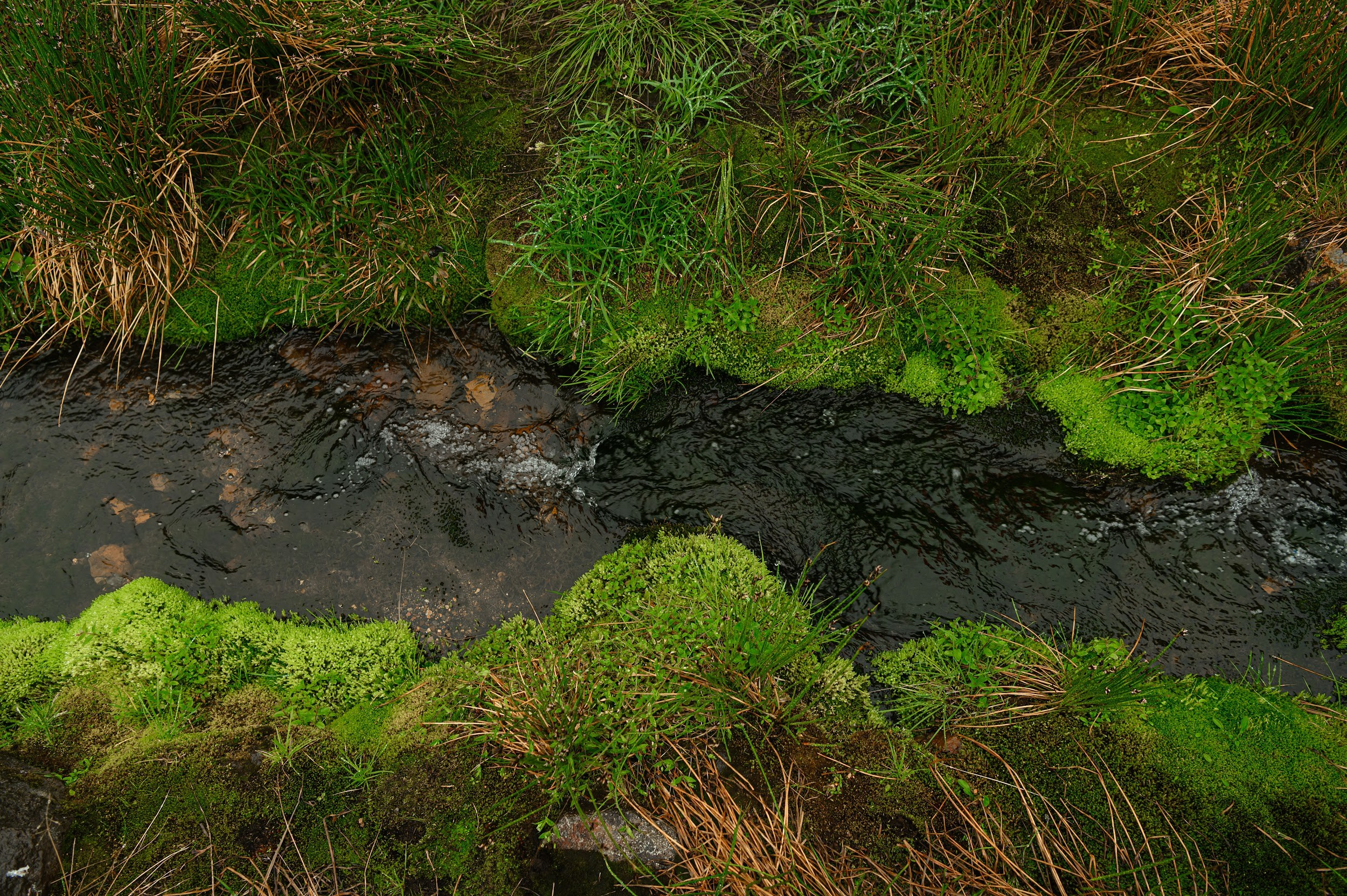 Камчатка 08.2024. Фотограф Марина Росси