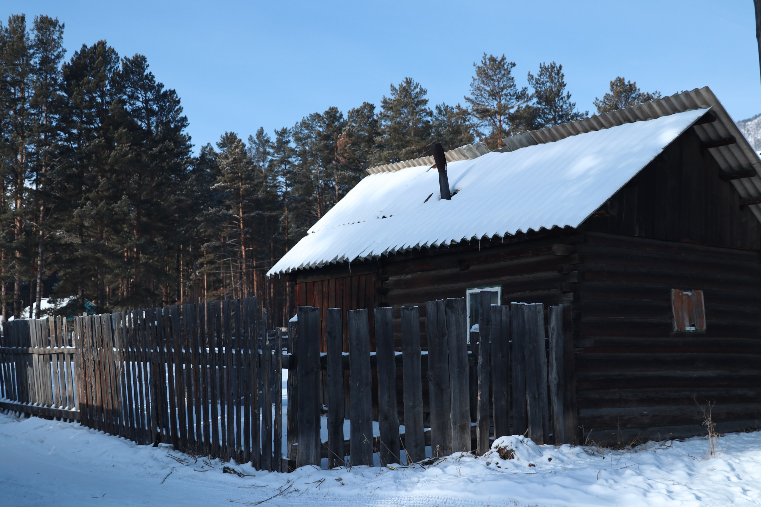 Аршан. Январь 2024. Путешественник-фотограф из Санкт-Петербурга Татьяна Свистулина