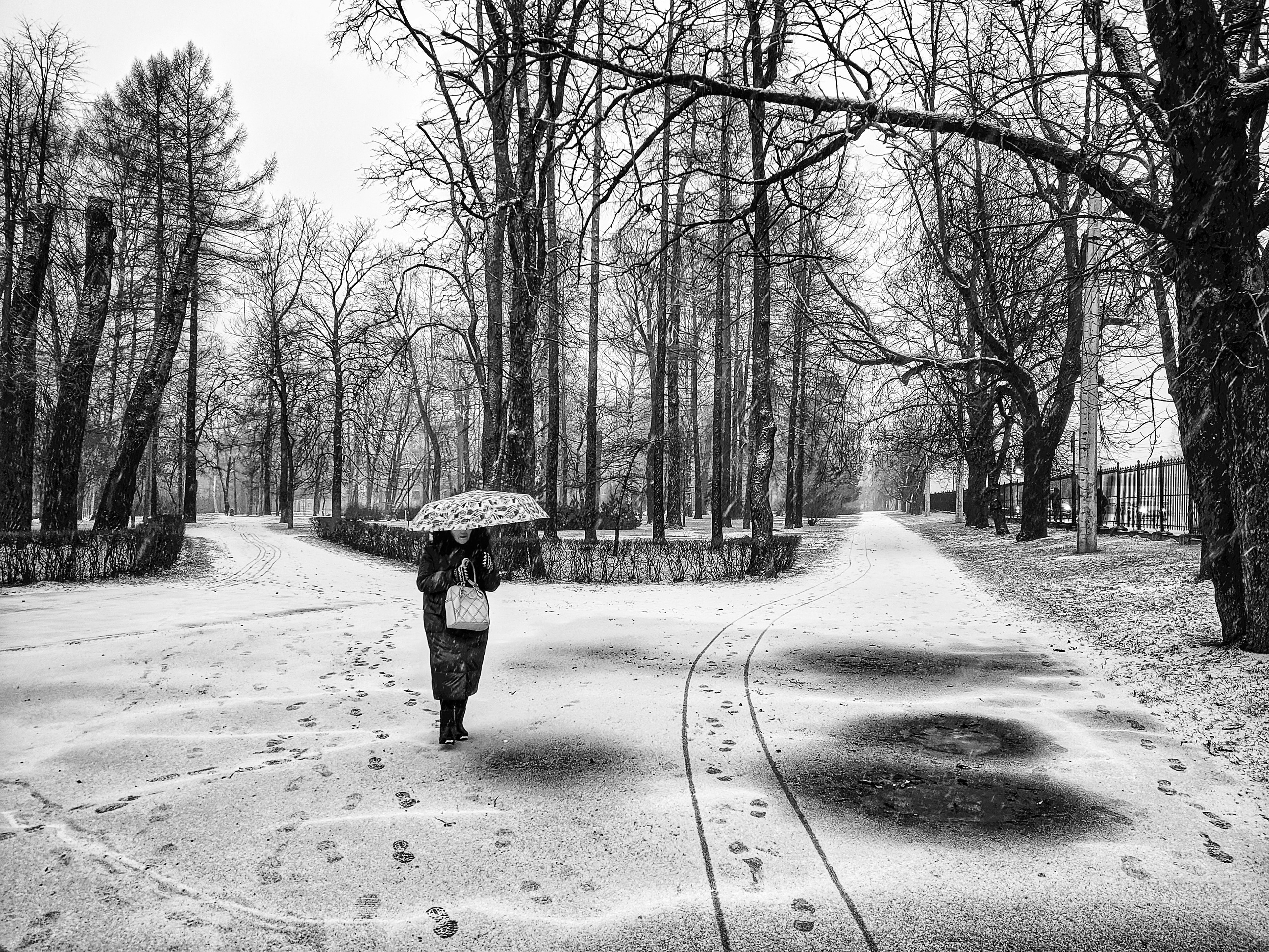 Winter. Dmitry Shamin Photographier | Street Photos