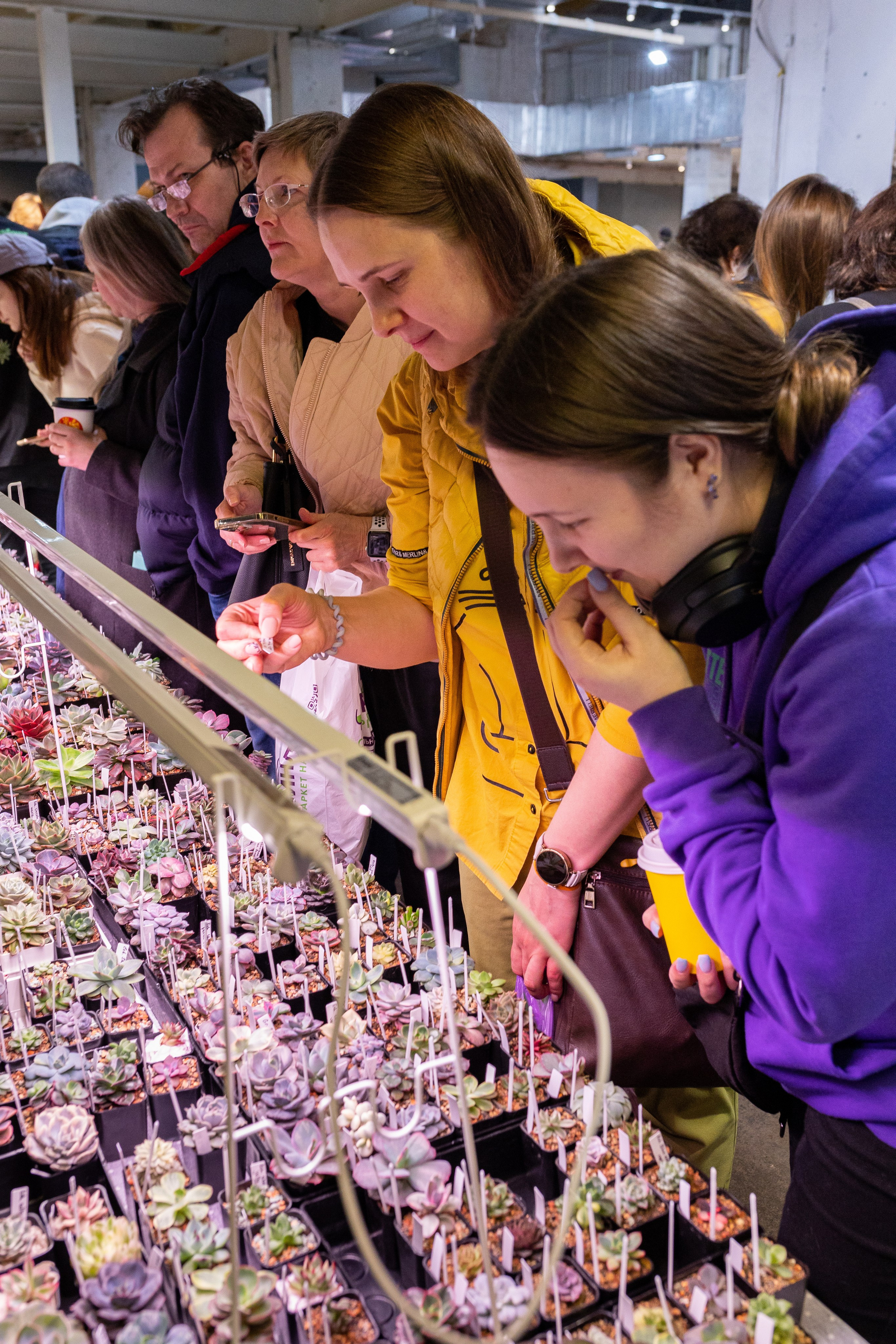 Meza market 2024. Александра Куликова фотограф, Москва