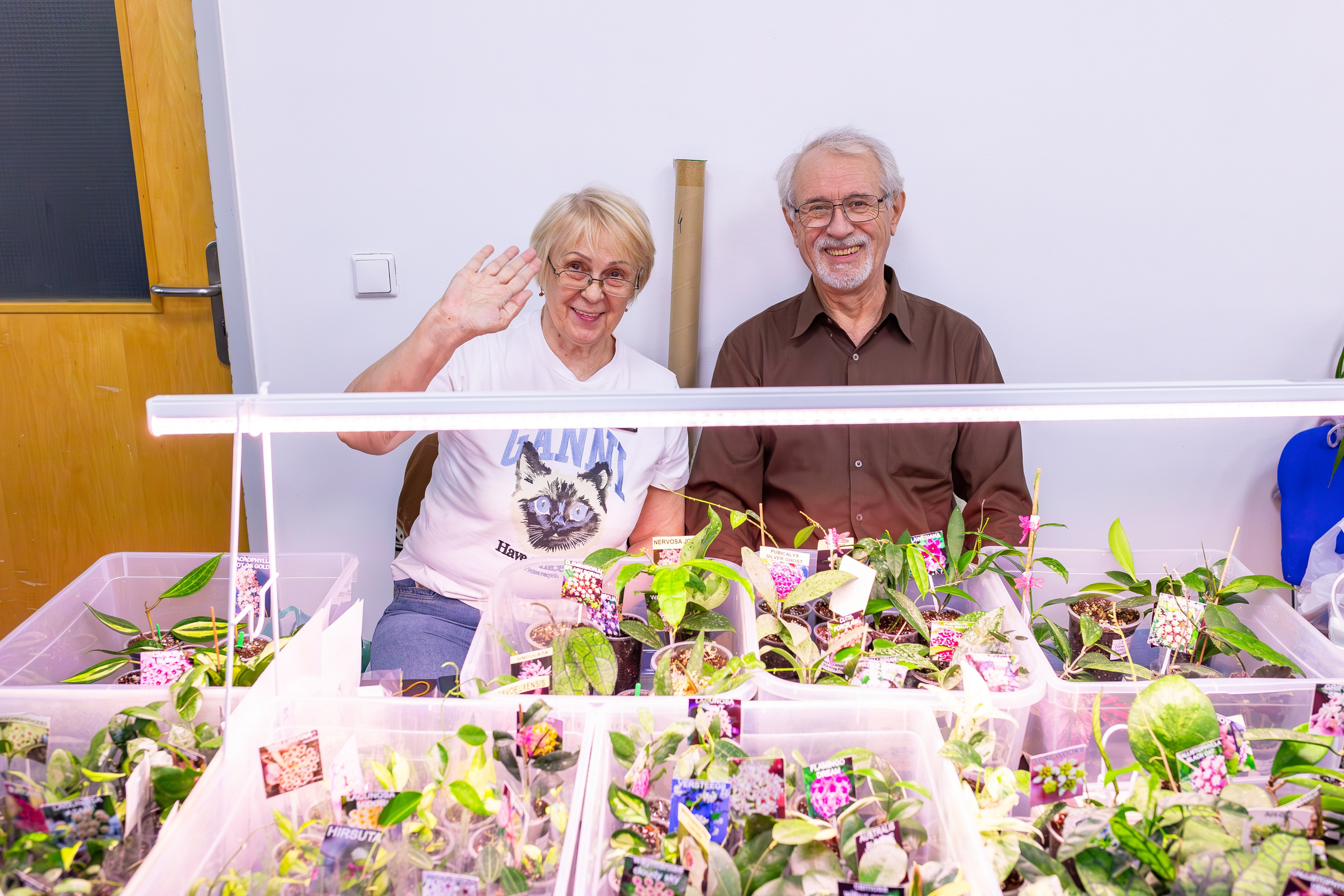 Орхидиум сентябрь 2025. Александра Куликова фотограф, Москва