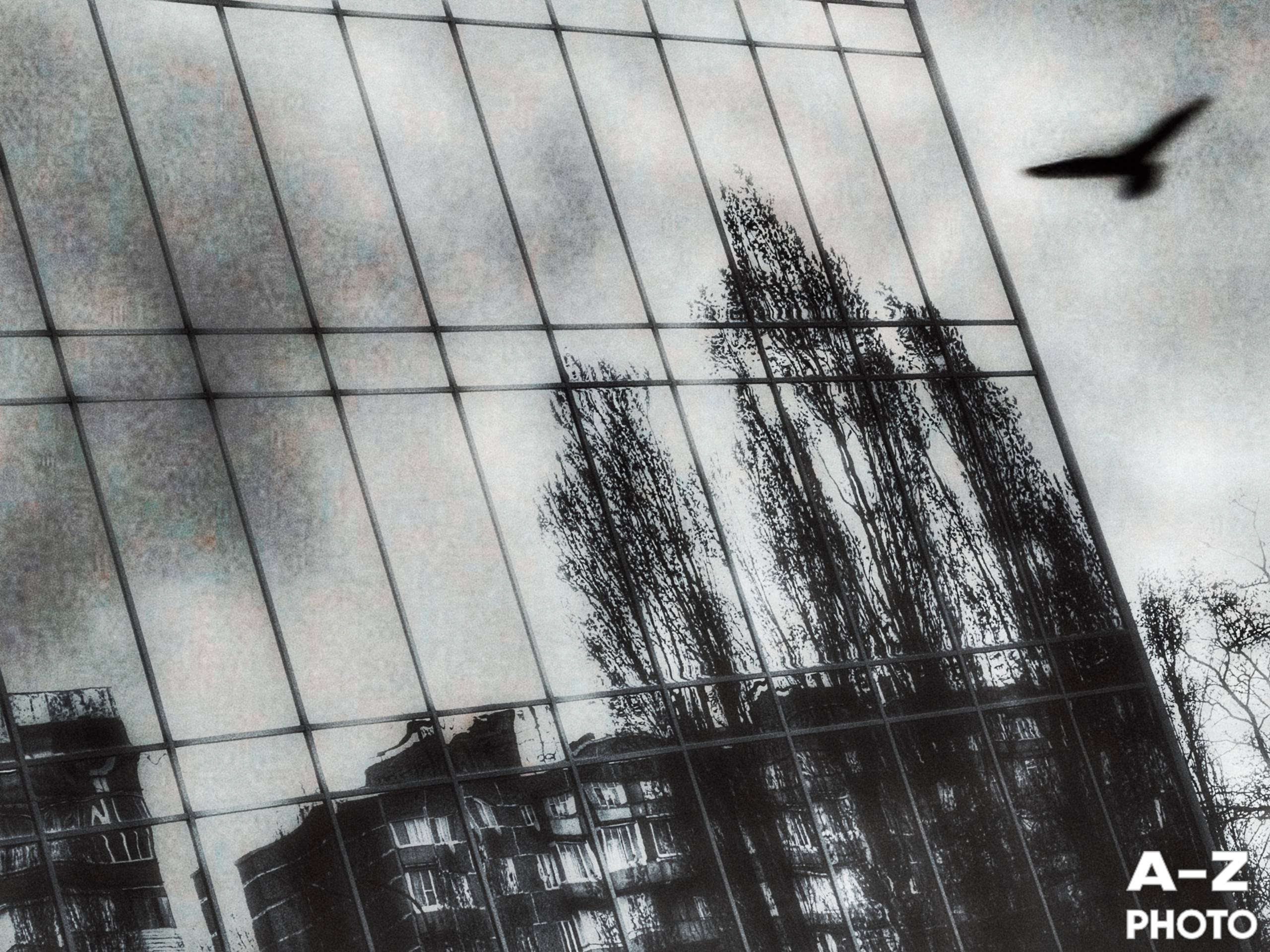 #ФОТОНЕДЕЛИ 13.04.2026. Женский семейный фотограф Тула Москва Захарова Анна