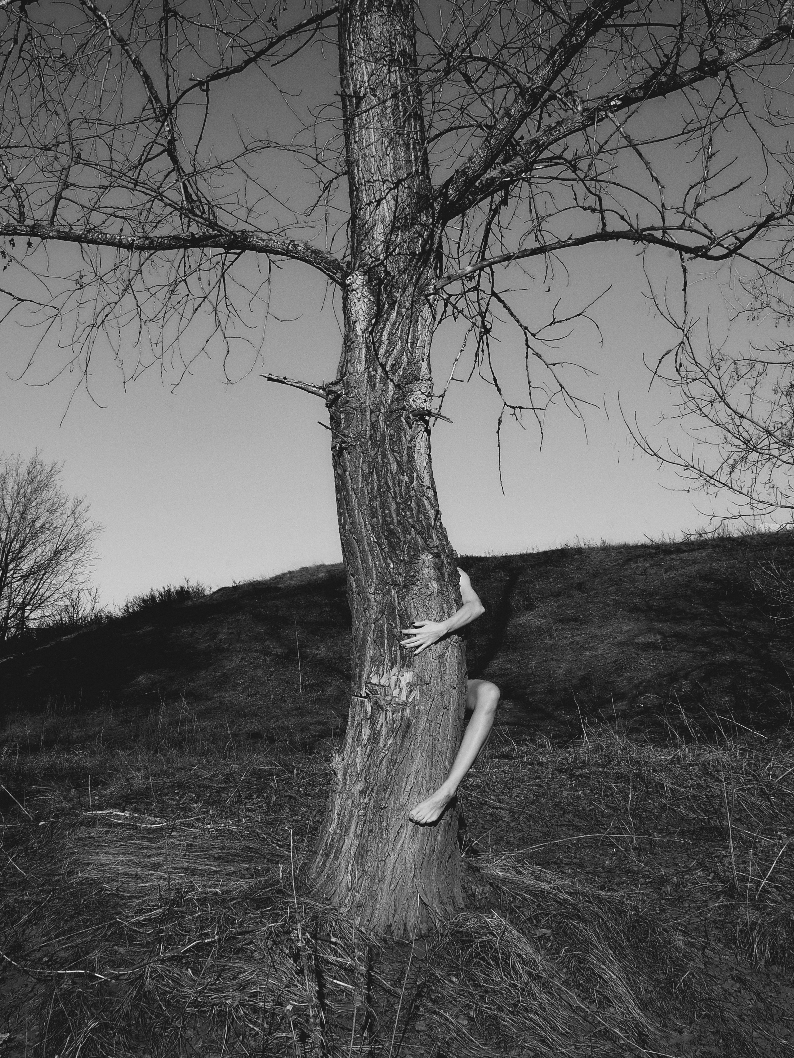 фотосессия самара, фотограф в самаре, фотосессия на природе, фотосессия ню, фотограф, заказать фотосъёмку, индивидуальная фотосессия самара