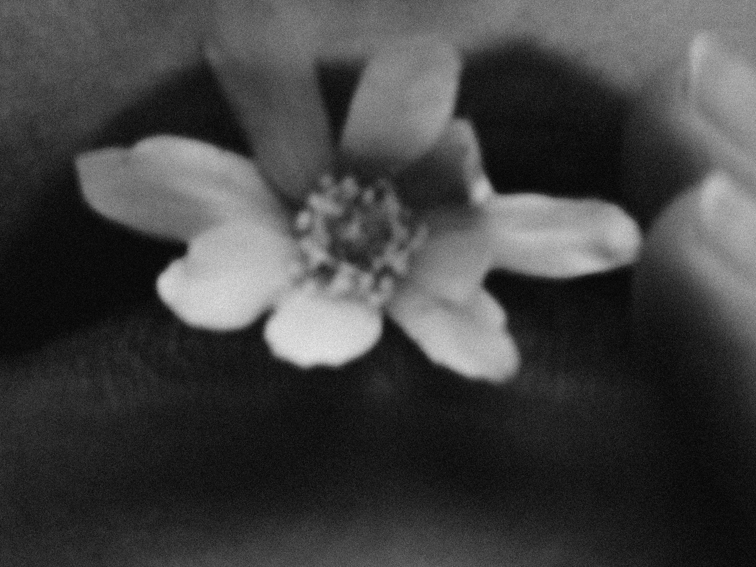 Женщины. Фотограф из Санкт-Петербурга/Катерина Зайцева