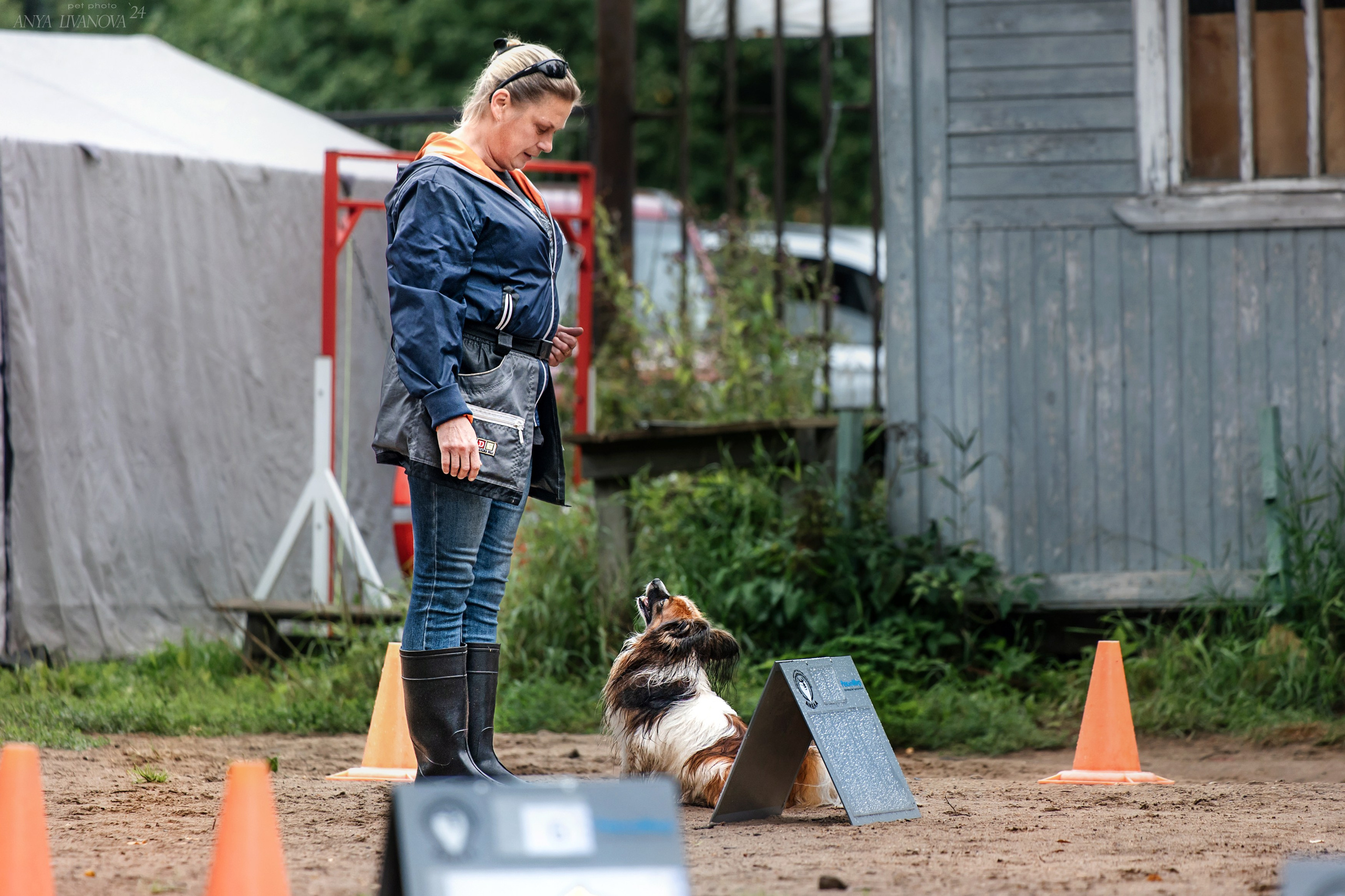 Ралли «Акела». Фотограф анималист Аня Ливанова | Рыбинск