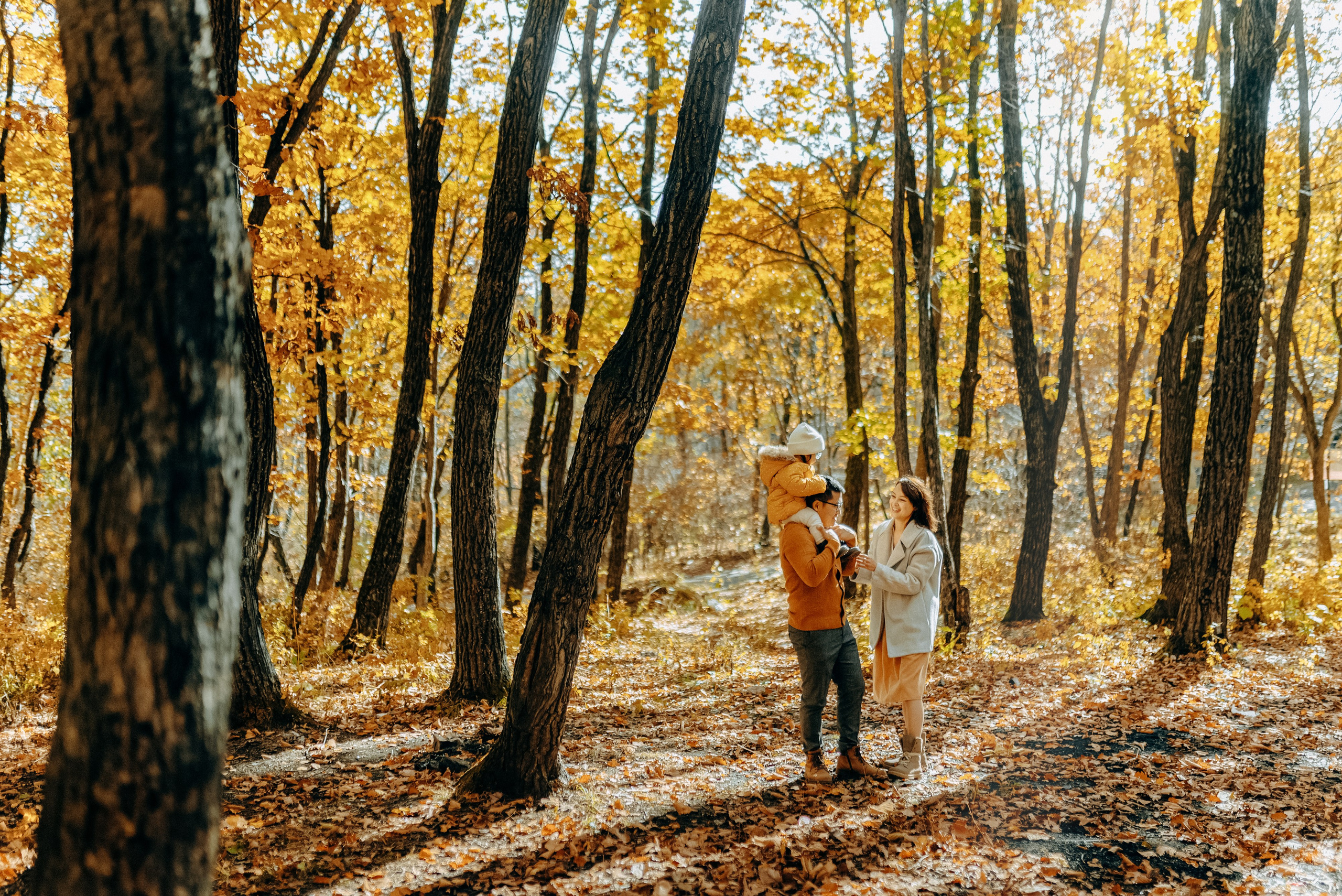 ТЕПЛАЯ ОСЕНЬ. Шашкова Вероника / Свадебный и семейный фотограф Москва и Ярославль