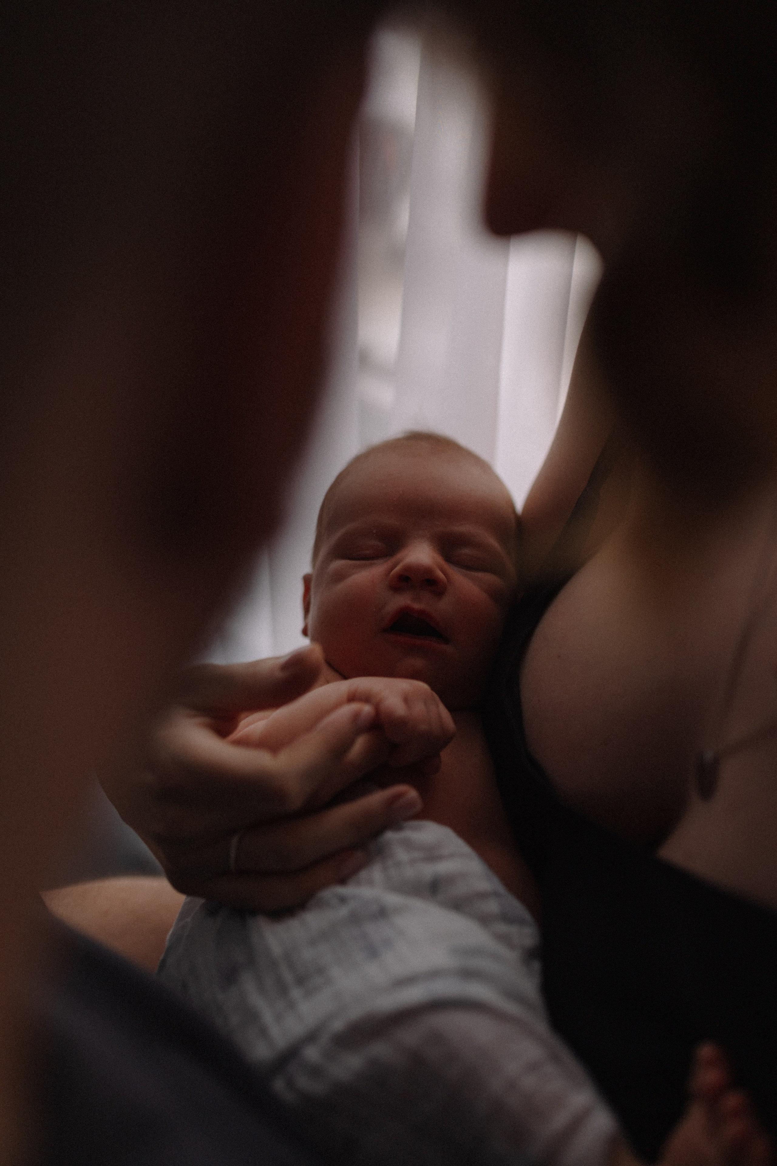 Лев. Семейный фотограф в Москве и Люберцах Юлия Гуськова