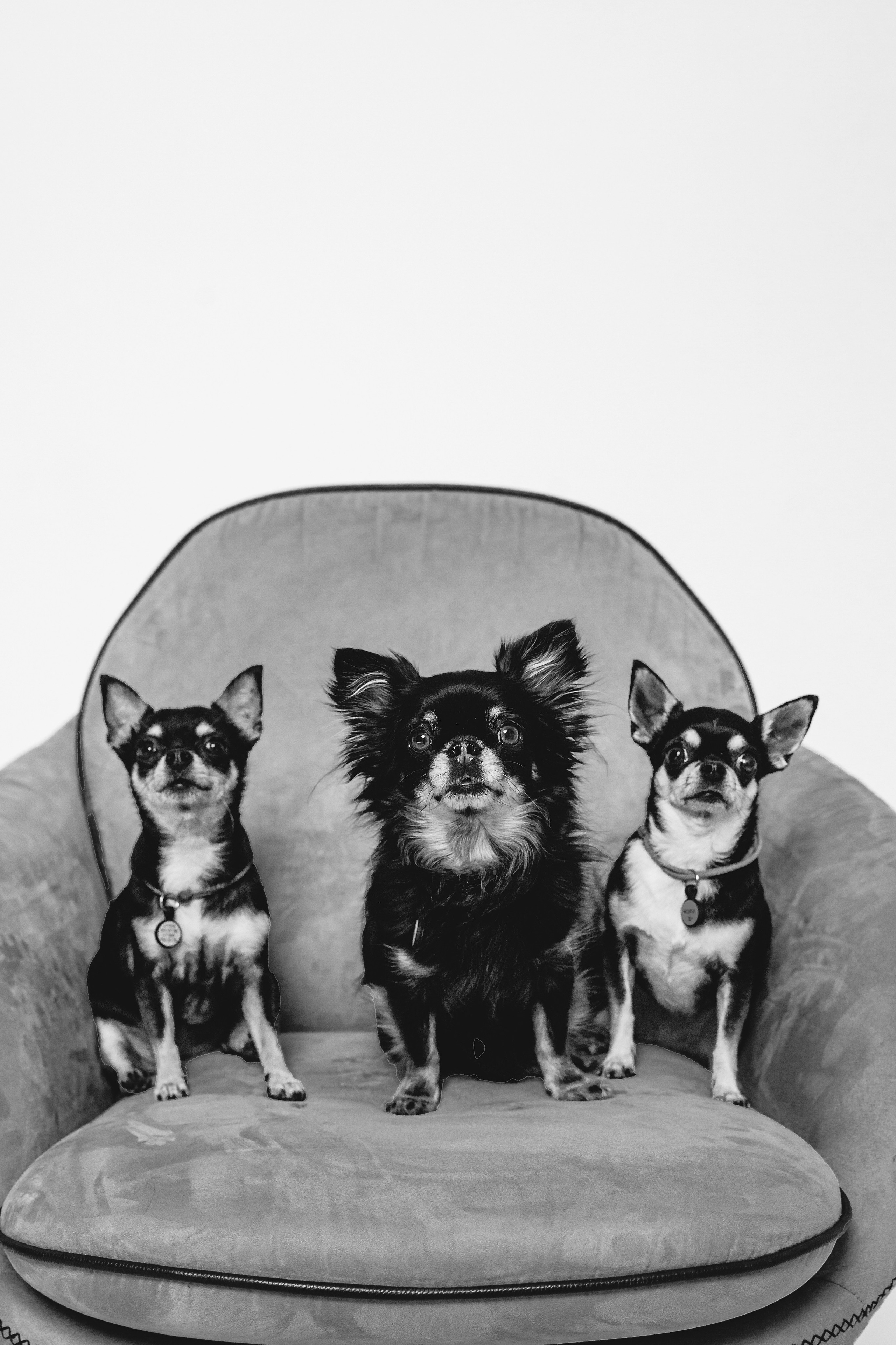 Семейная фотосессия. Фотограф-анималист Татьяна Степанова