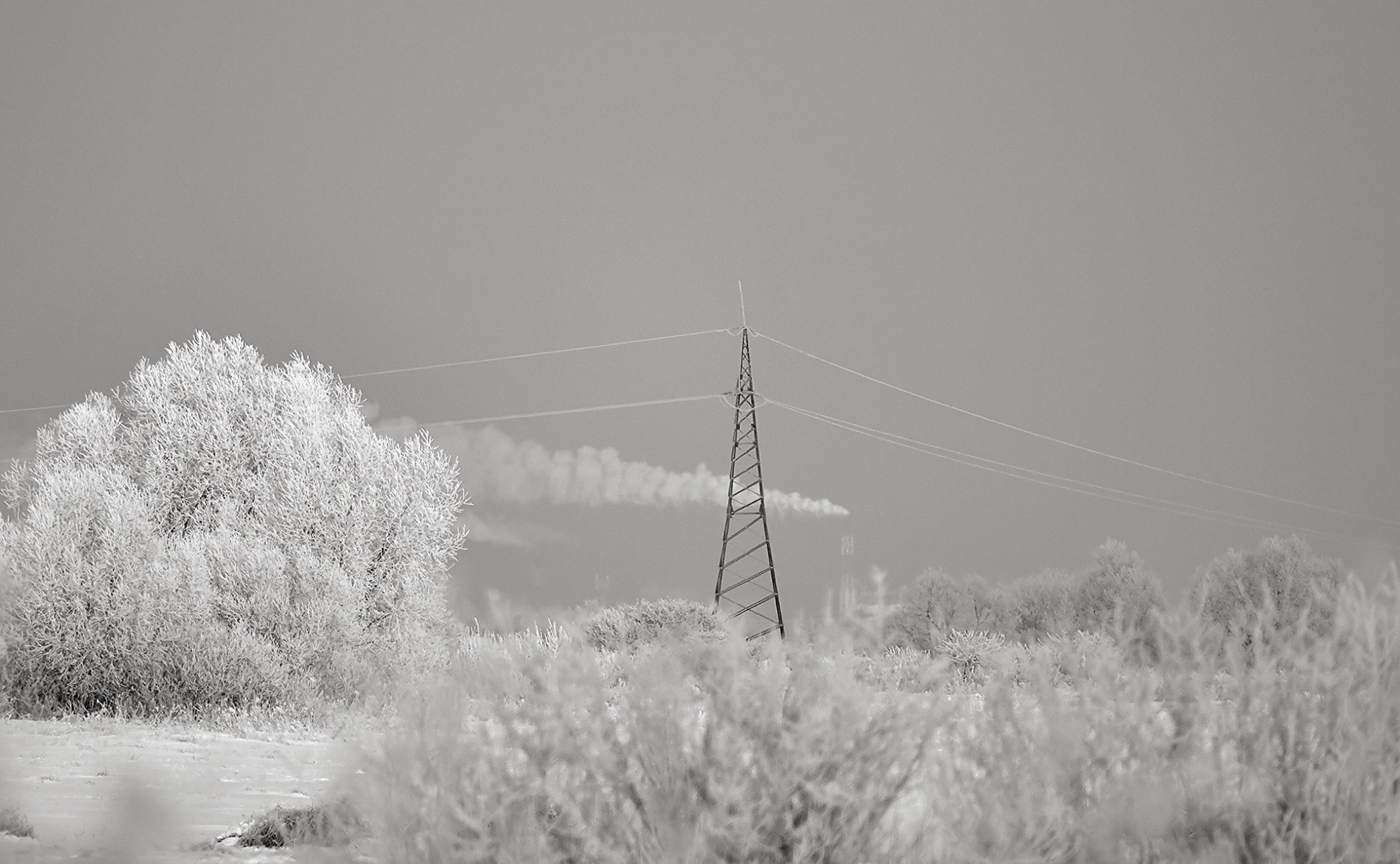 Ч.б. фотографии. Фотографии Лены Соколовой