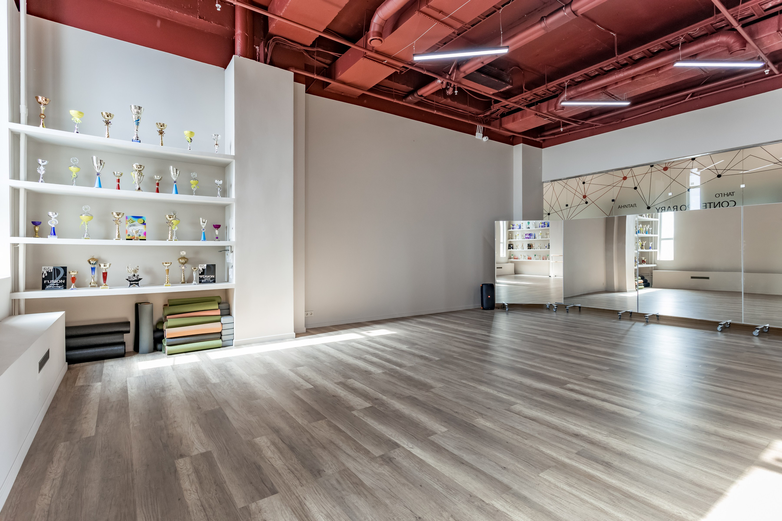 Школа танцев Liberty dance. Интерьеры, Контент, Портреты | Фотограф в Москве Дани Терно