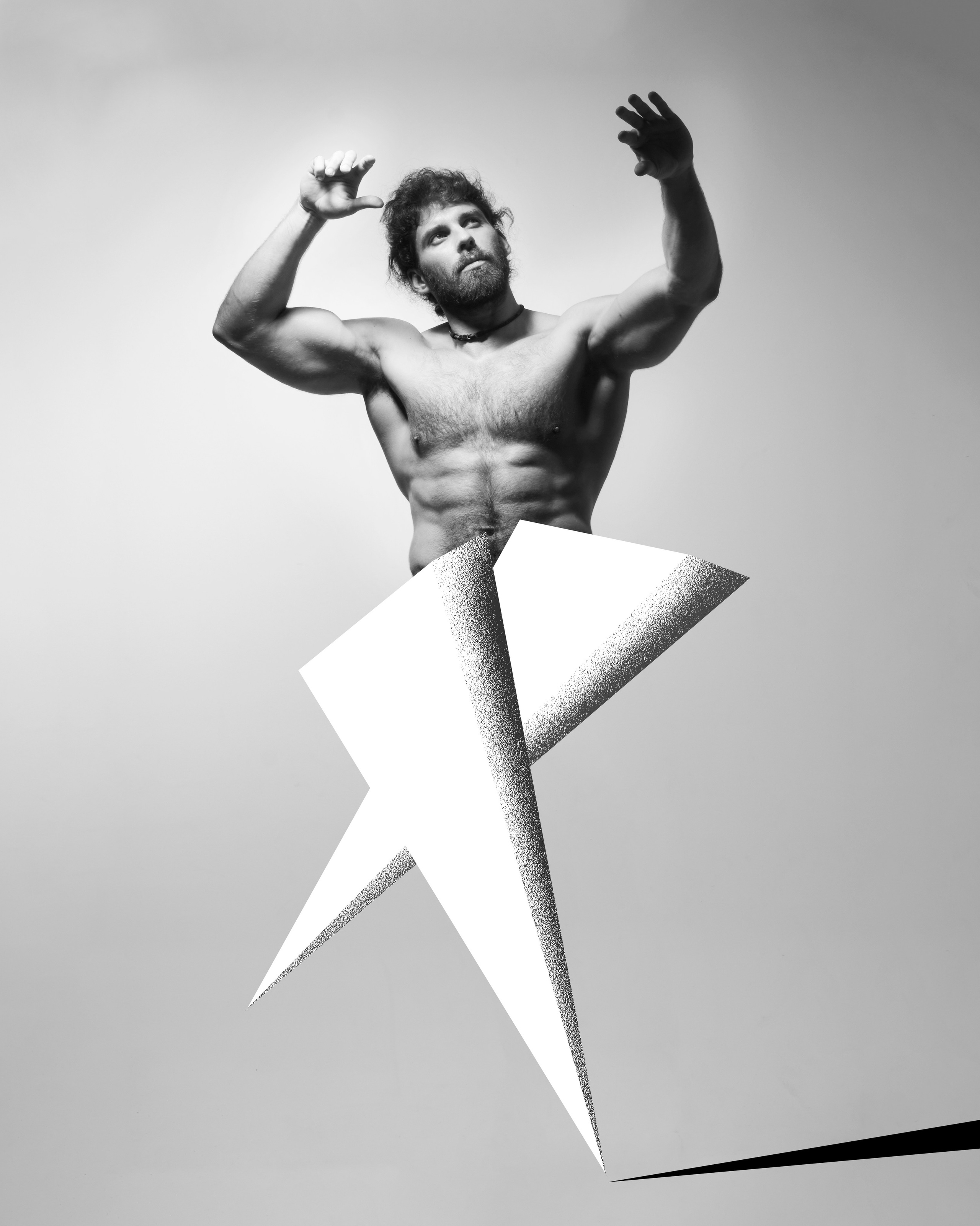 АРТ 2026. NVSL STD